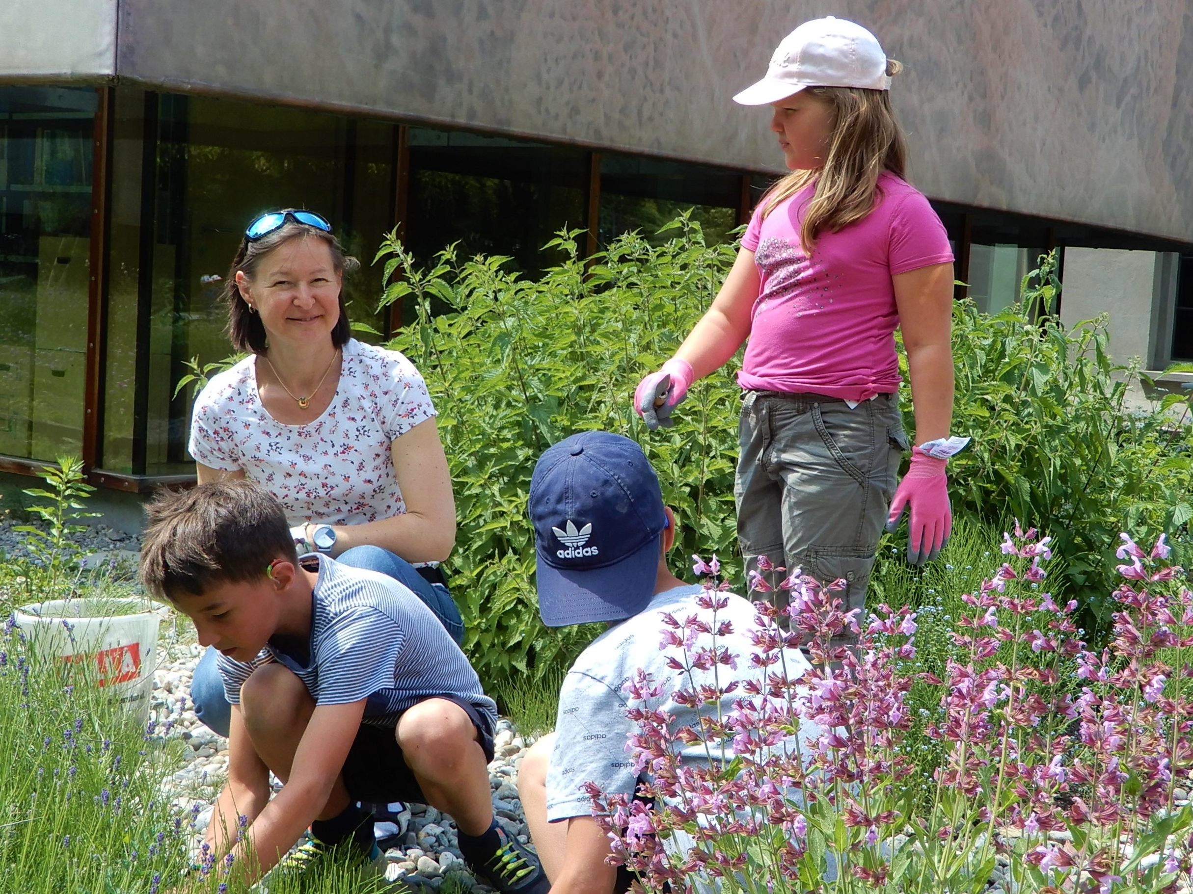 Ab Freitag wird im Kräutergarten der inatura wieder gemeinsam mit Kindern gegärtnert und gewerkelt.