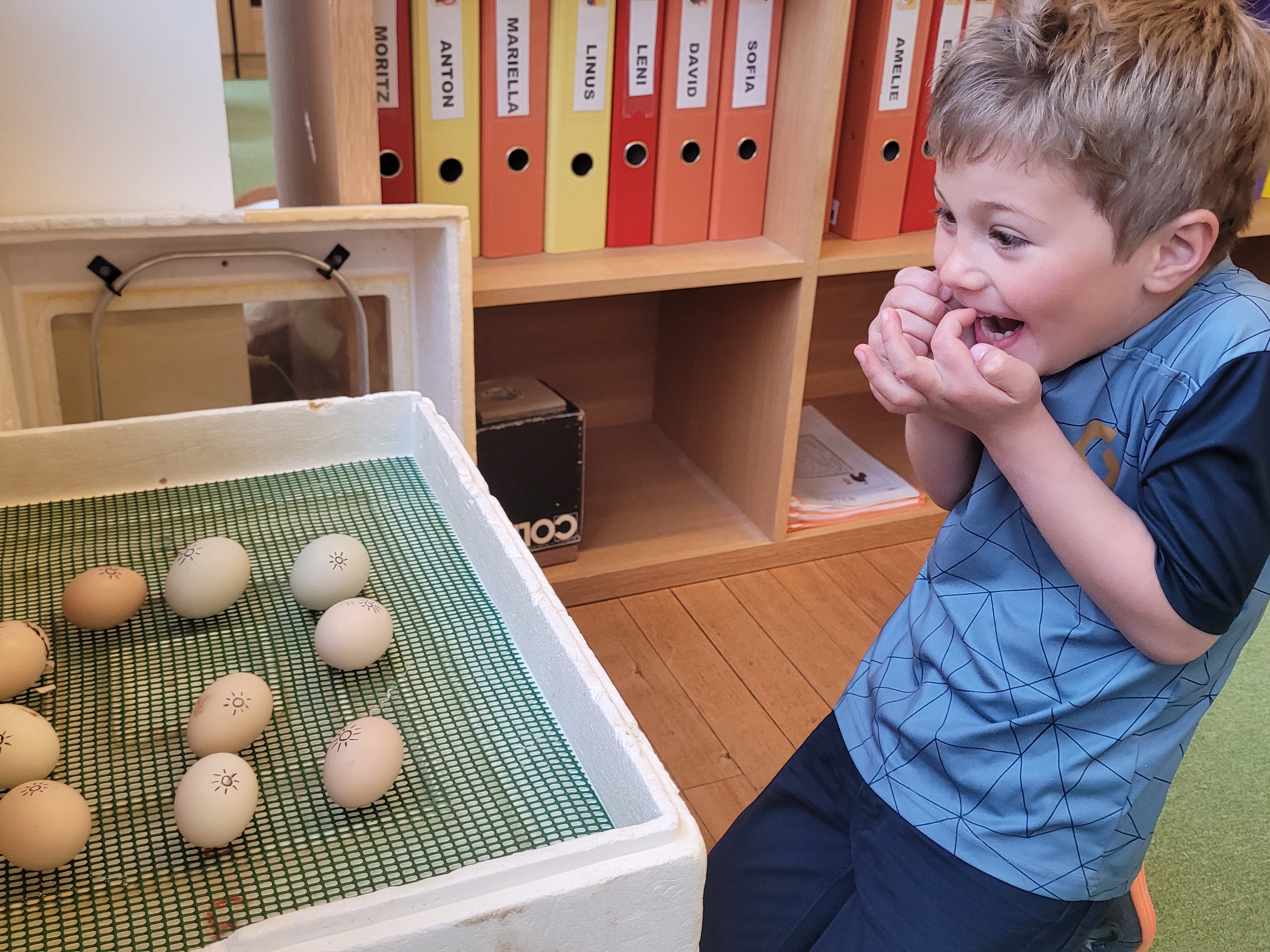 Unfassbares Staunen und riesige Freude übermannte die Kinder, als die Küken begannen, zu schlüpfen.