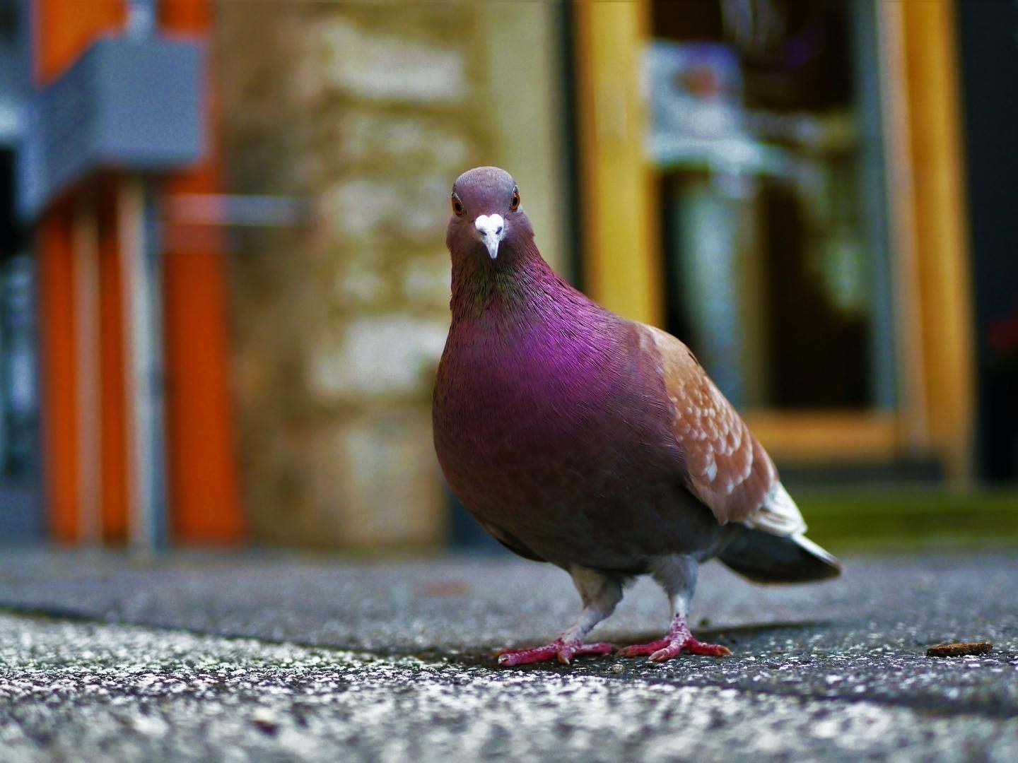 Eine Frau aus England machte eine merkwürdige Entdeckung.