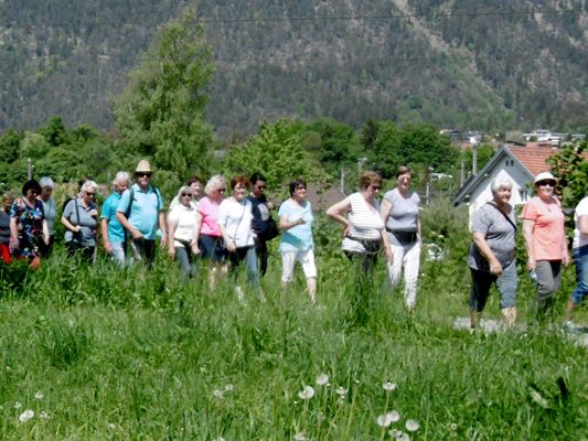 Maiwanderung Maiwanderung