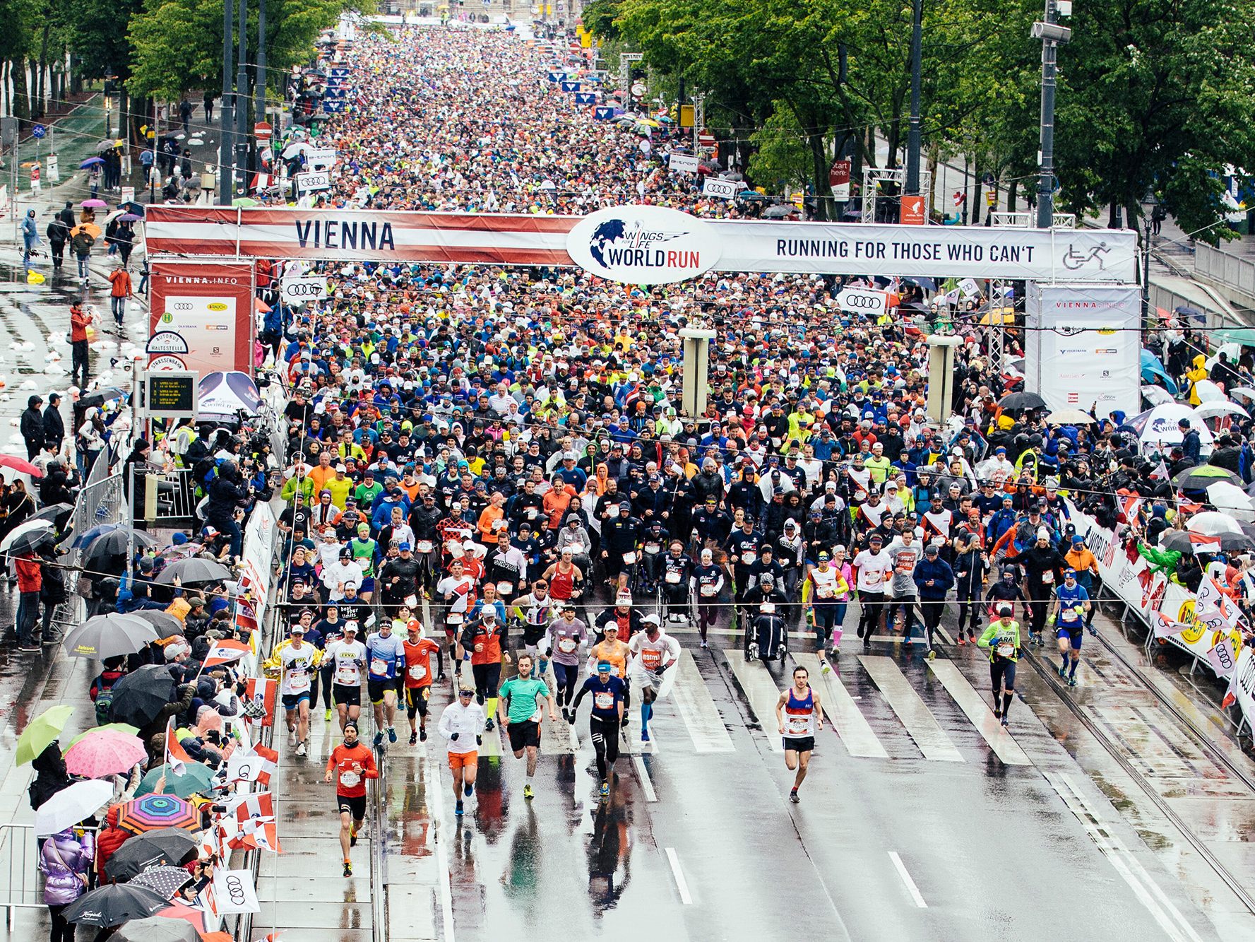 Wings for Life World Run: In Wien gibt es wieder einen Flagship Run. Wings for Life World Run: In Wien gibt es wieder einen Flagship Run.