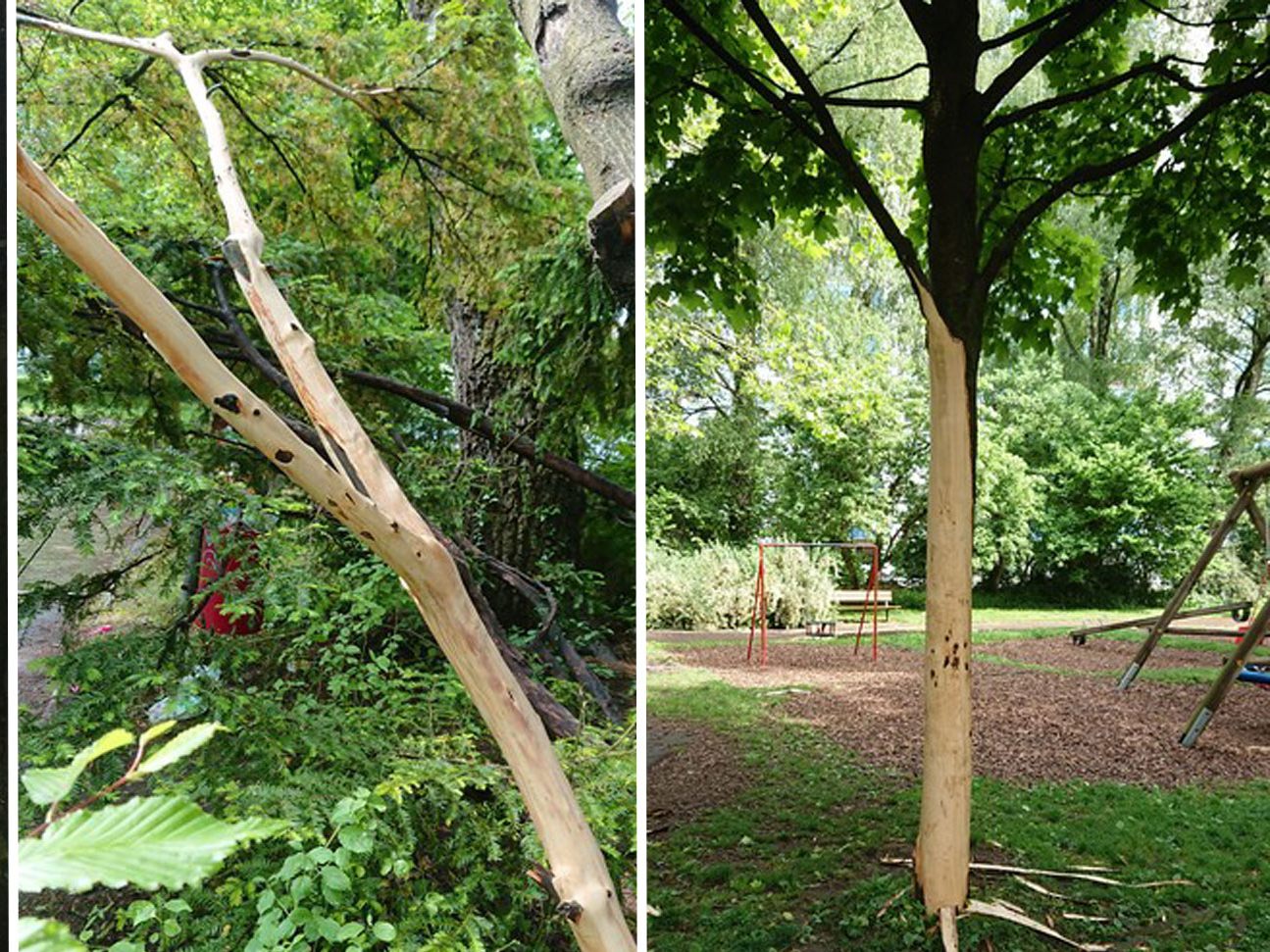 Nachdem ein Spielplatz in Bregenz schwer beschädigt wurde, sucht die Polizei nach Zeugen.