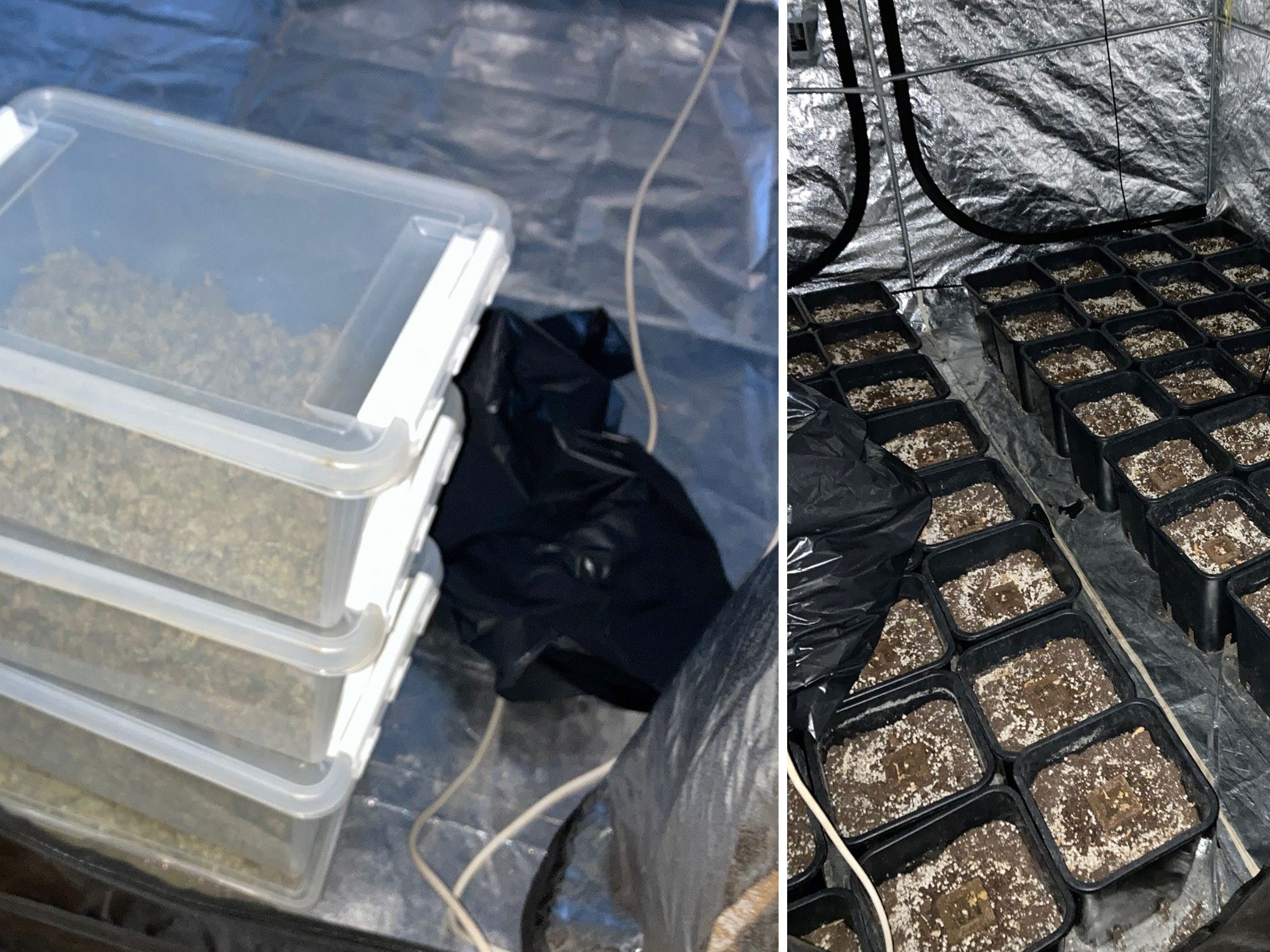 Eine Cannabisplantage wurde in einer Hietzinger Wohnung entdeckt Eine Cannabisplantage wurde in einer Hietzinger Wohnung entdeckt