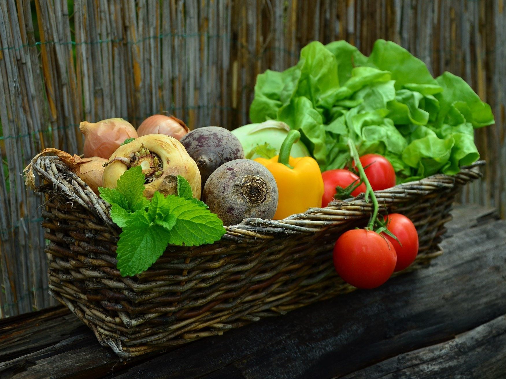 Gesund essen leicht gemacht: Womit man sicher richtig liegt, erfahren Sie hier