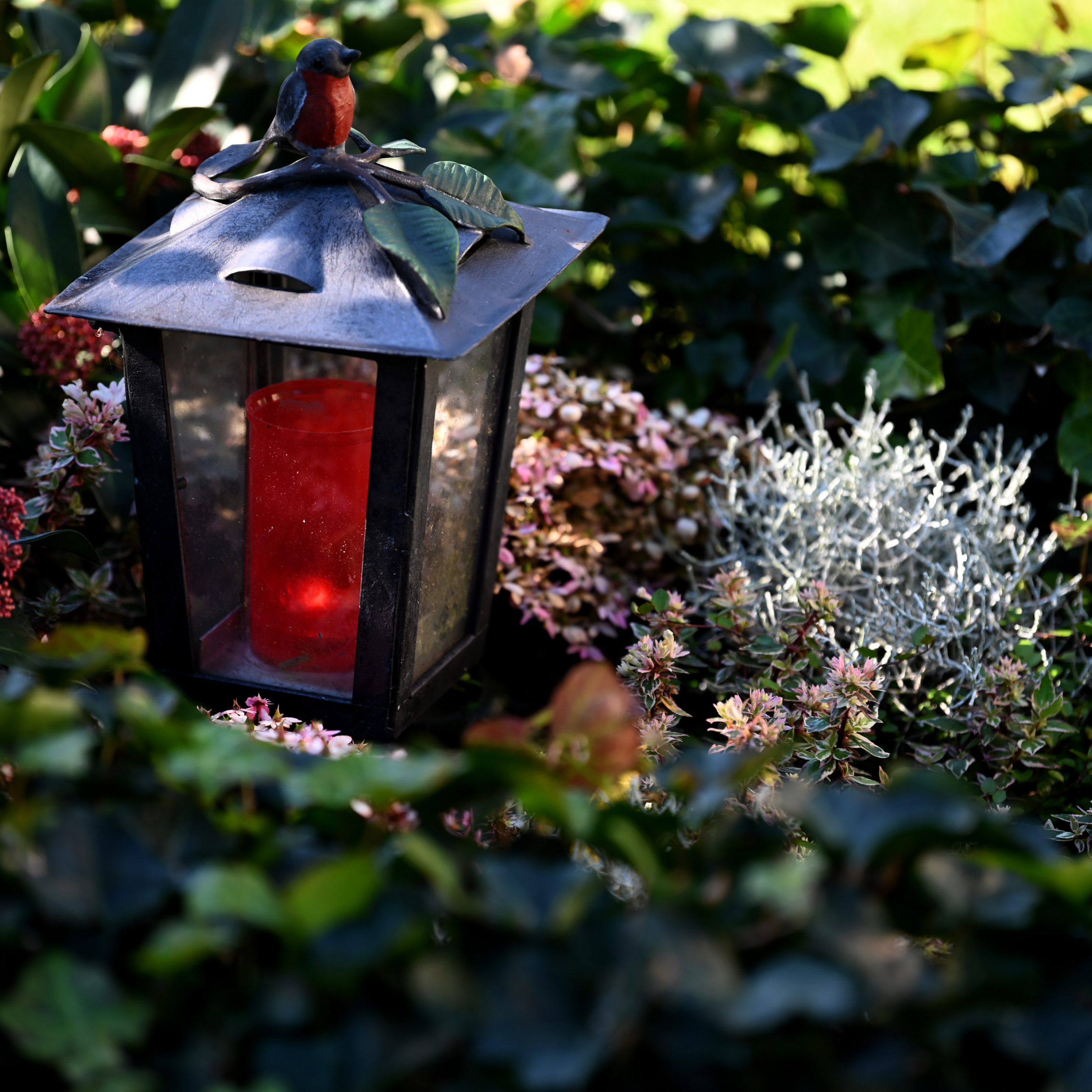 IHS-Studie: Mehr als 8 Prozent der Todesfälle wegen zu viel Cholesterin.