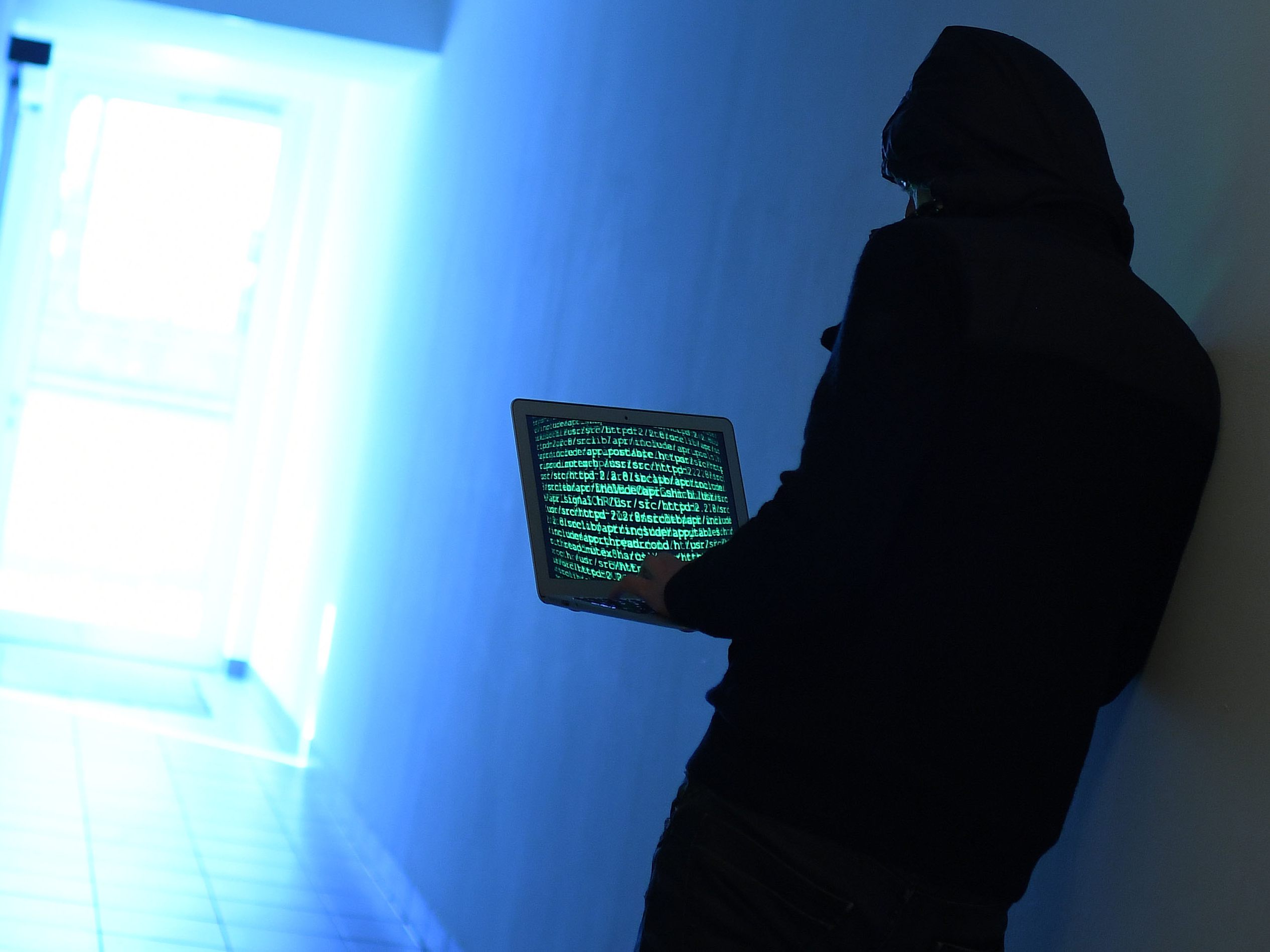 Nach der Hackerattacke auf das Land Kärnten gibt es Berichte über veröffentlichte Daten.