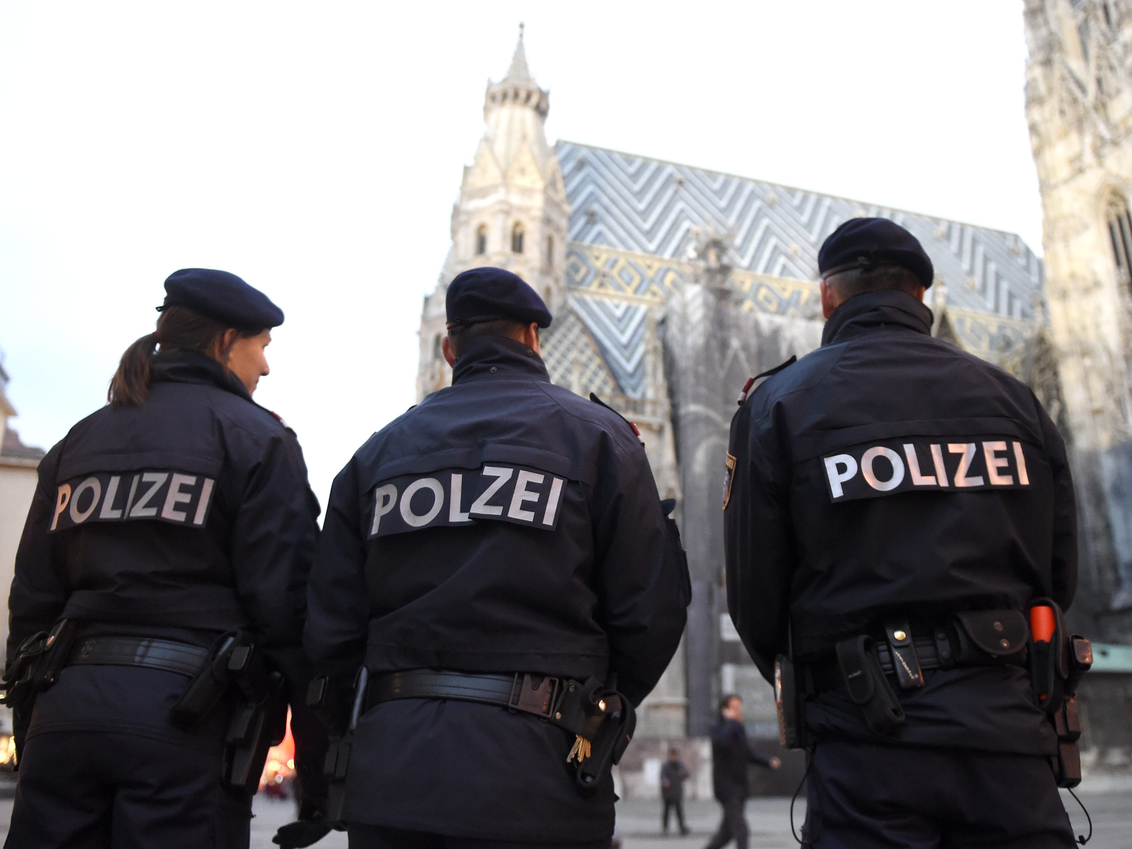 Großeinsatz der Wiener Polizei bei Demos am Stephansplatz. Großeinsatz der Wiener Polizei bei Demos am Stephansplatz.