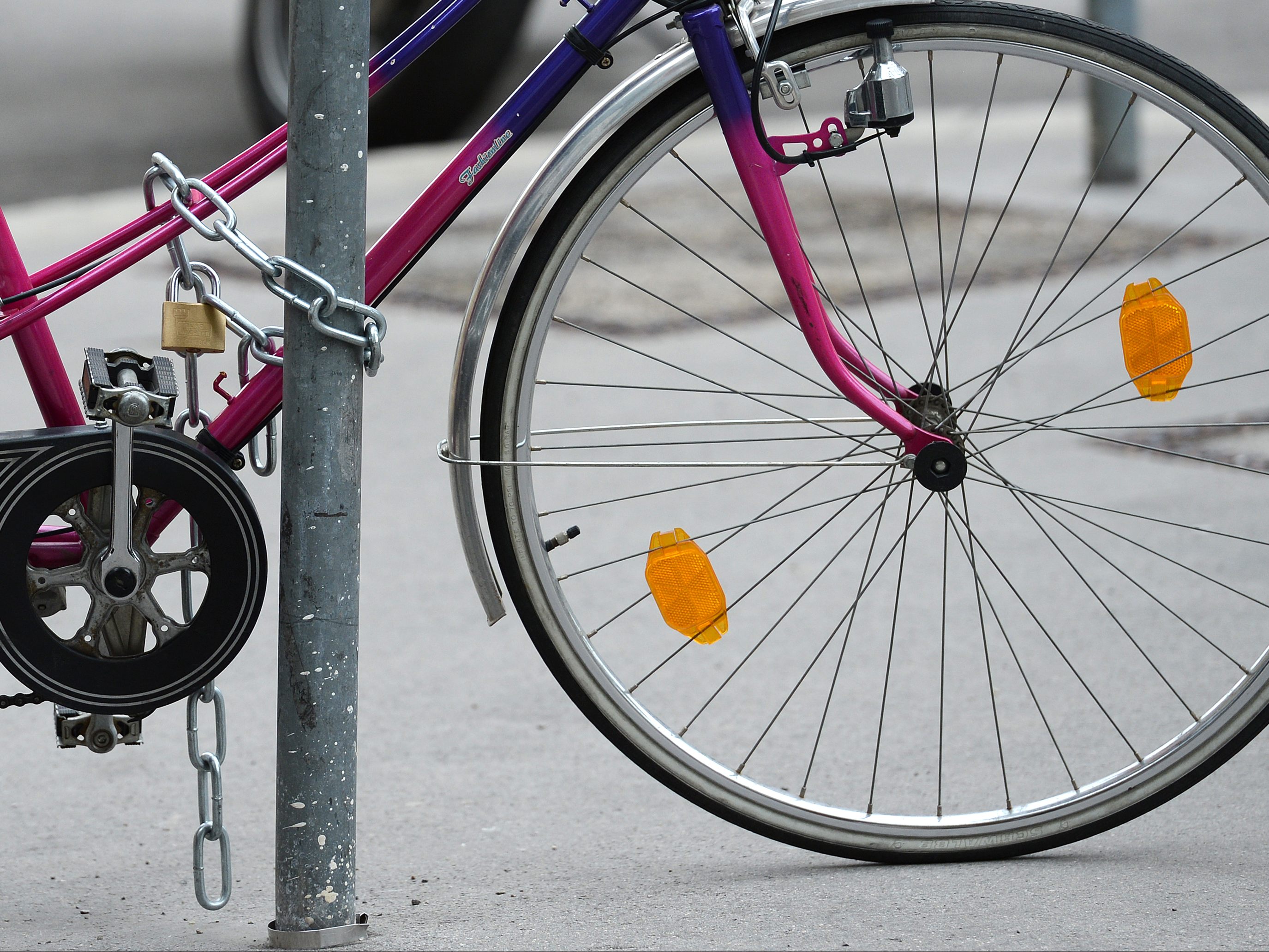 Bei der Wiener Rad-Demo "Draw A Bike Ride" wird ein Riesen-Fahrrad auf den Stadtplan gezeichnet.