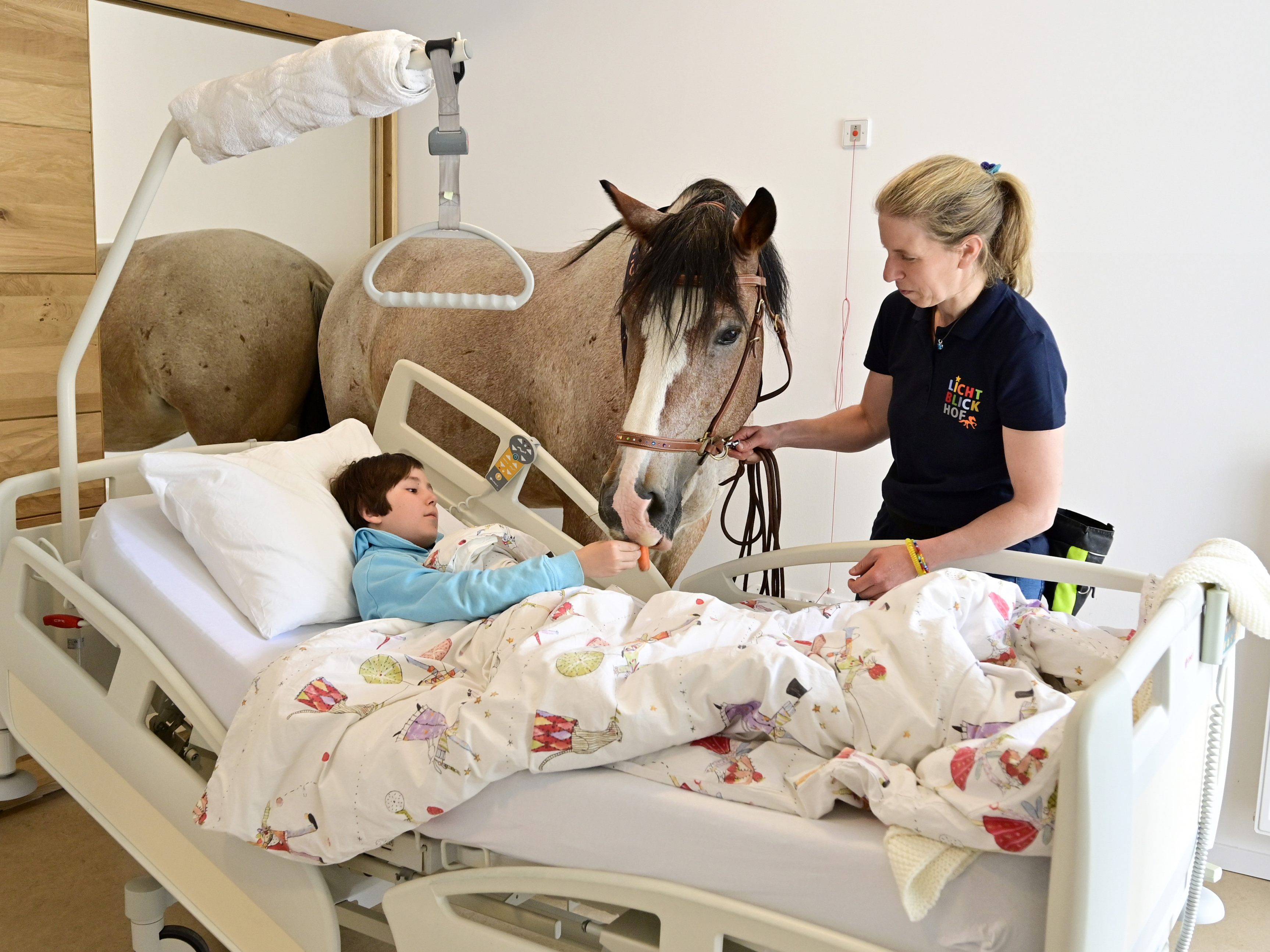 Pferd am Krankenbett: Glücksmomente für unheilbar kranke Kinder in Wien. Pferd am Krankenbett: Glücksmomente für unheilbar kranke Kinder in Wien.