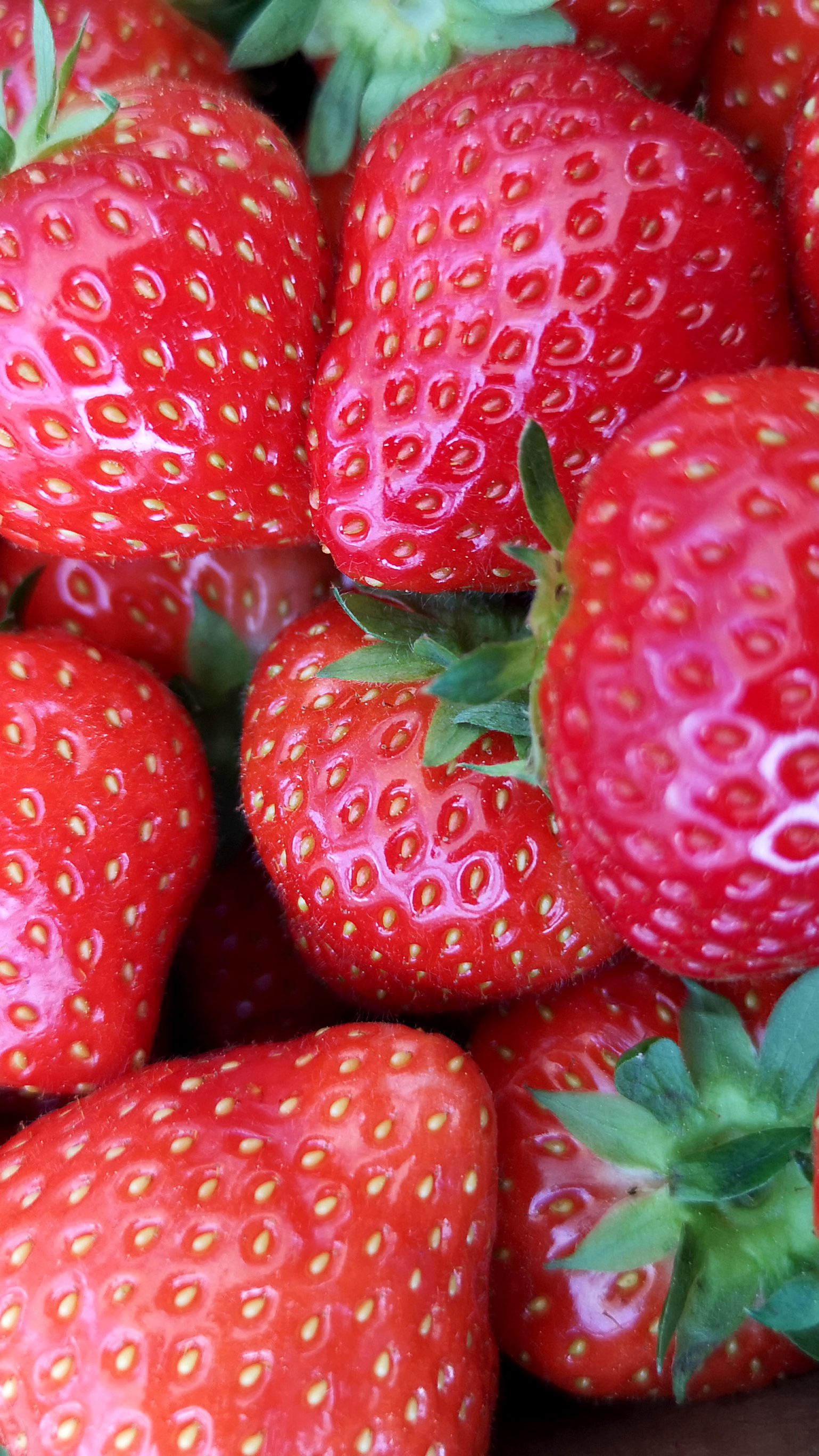 Erdbeeren: Bei Spar merkt man noch keinerlei Kaufzurückhaltung.