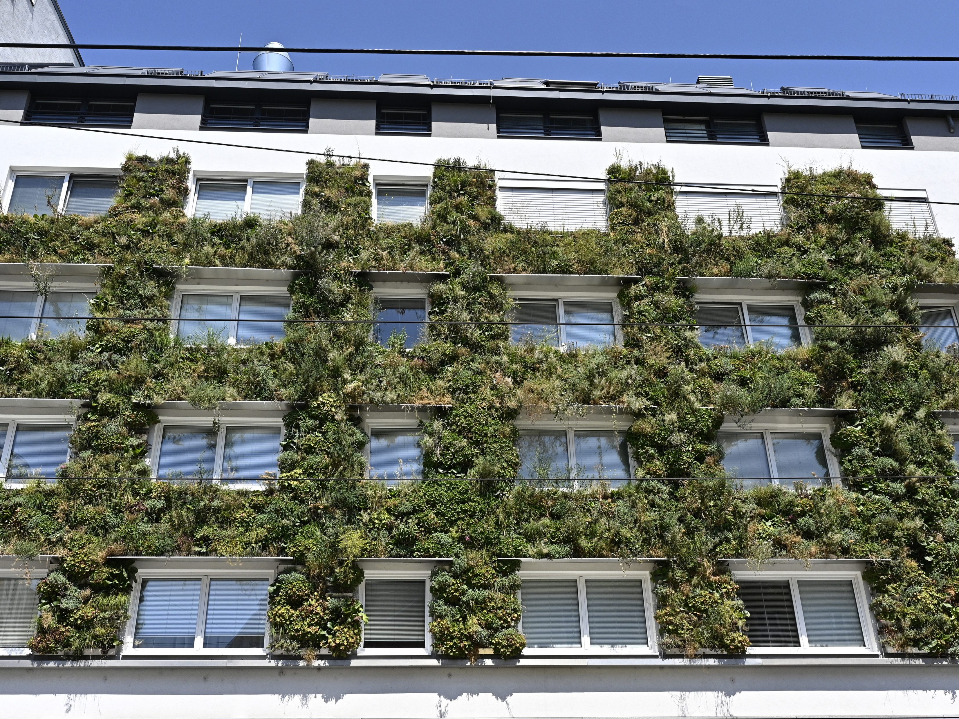 Ein neues Wiener DIY-System will für grünere Fassaden in Östereich sorgen.