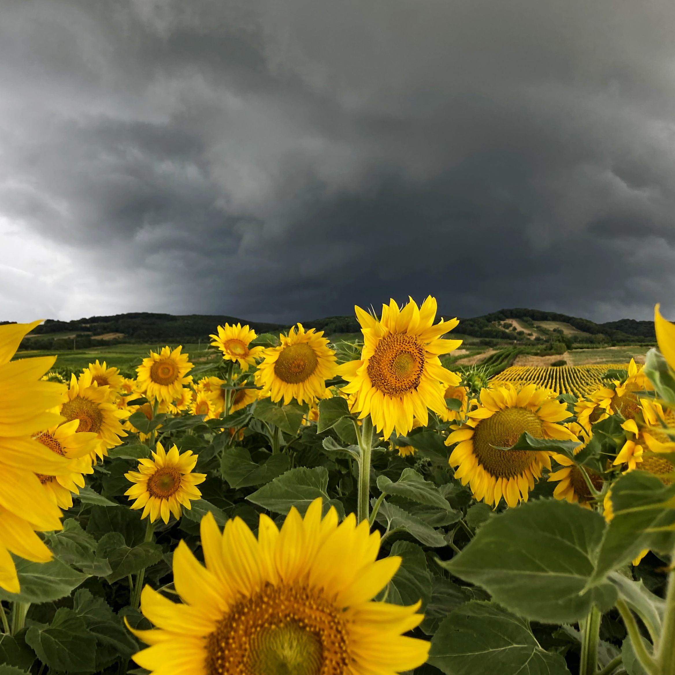 Im Jahr 2021 gab es Kosten aufgrund von Unwetterschäden in Höhe von vier Millionen Euro.