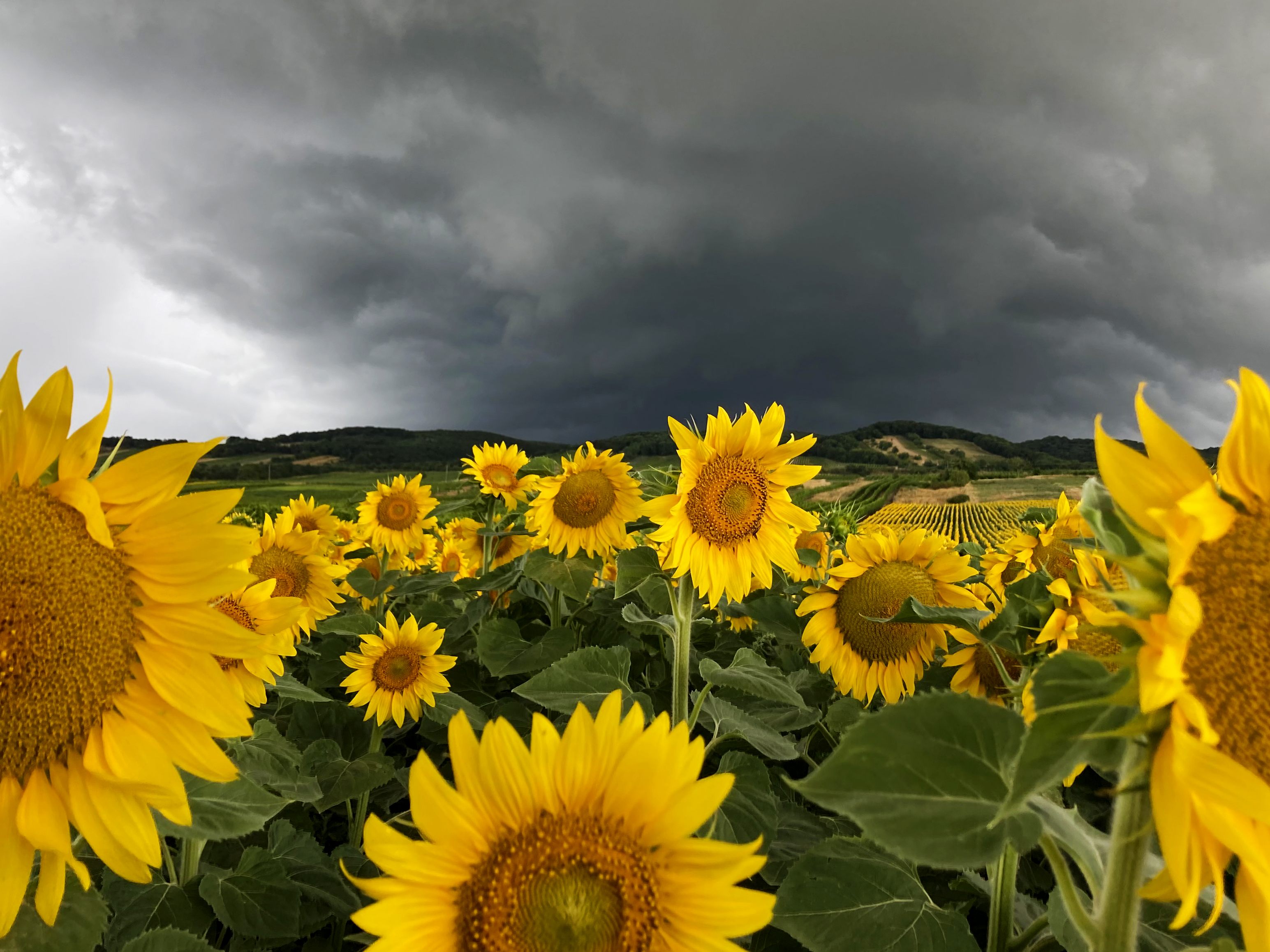 Im Jahr 2021 gab es Kosten aufgrund von Unwetterschäden in Höhe von vier Millionen Euro.