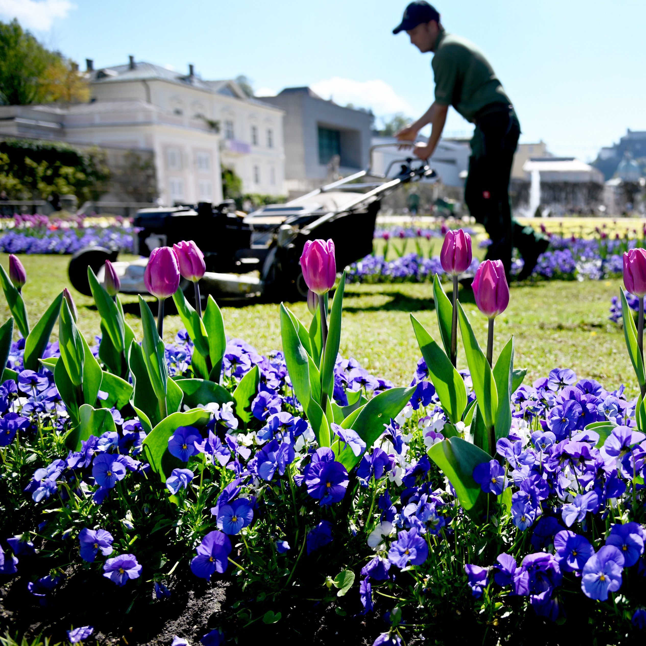 Gärtner und Floristen in Wien klagen über zu wenige Fachkräfte.