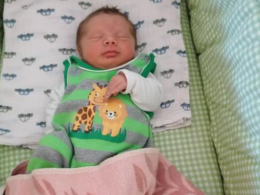 Die Vol.at - Redaktion gratuliert recht herzlich.