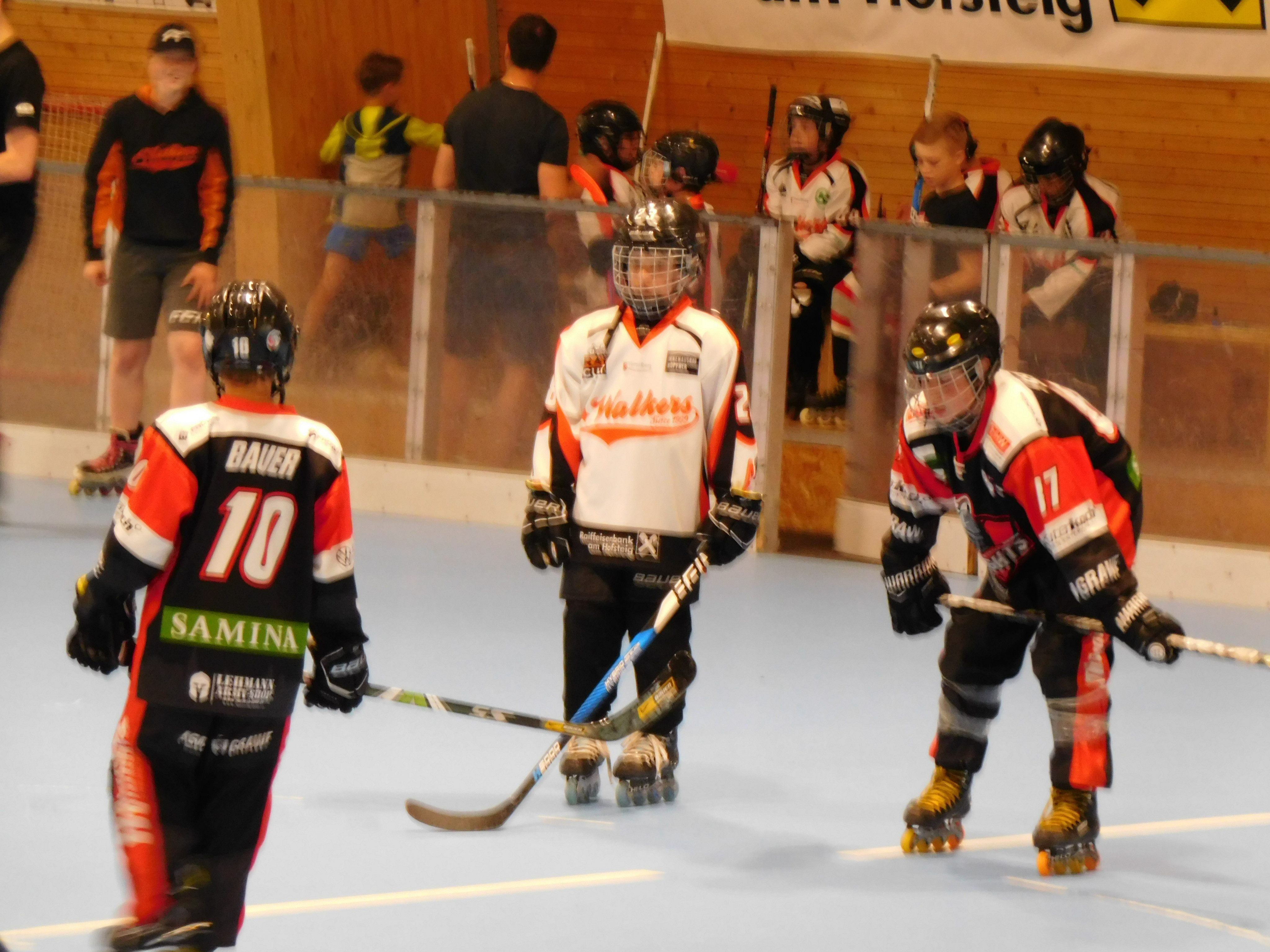 Am Samstag treffen die Youngsters der Knights auf die Wolfurt Walkers