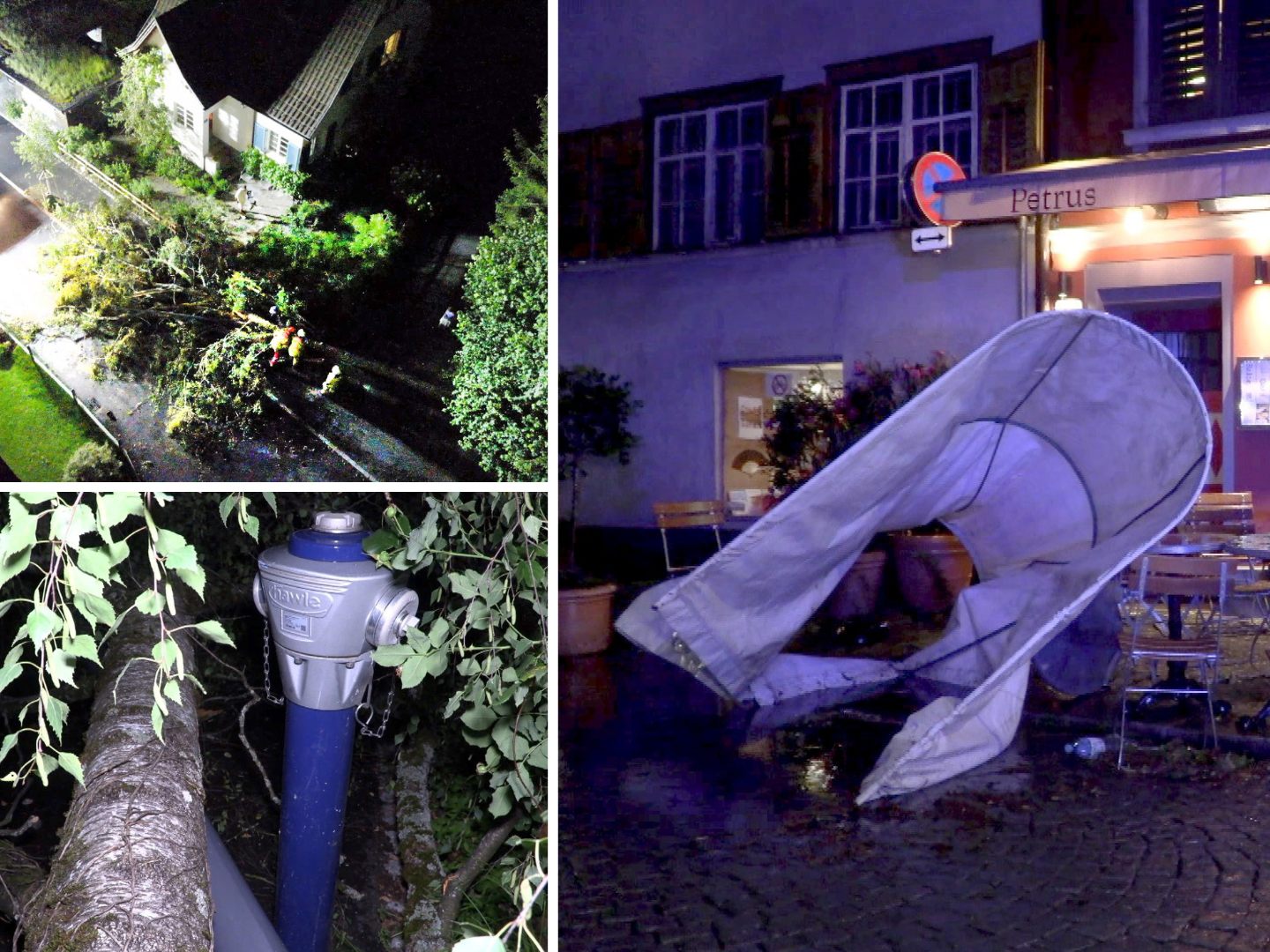 Umgestürzte Bäume in Dornbirn Umgestürzte Bäume in Dornbirn
