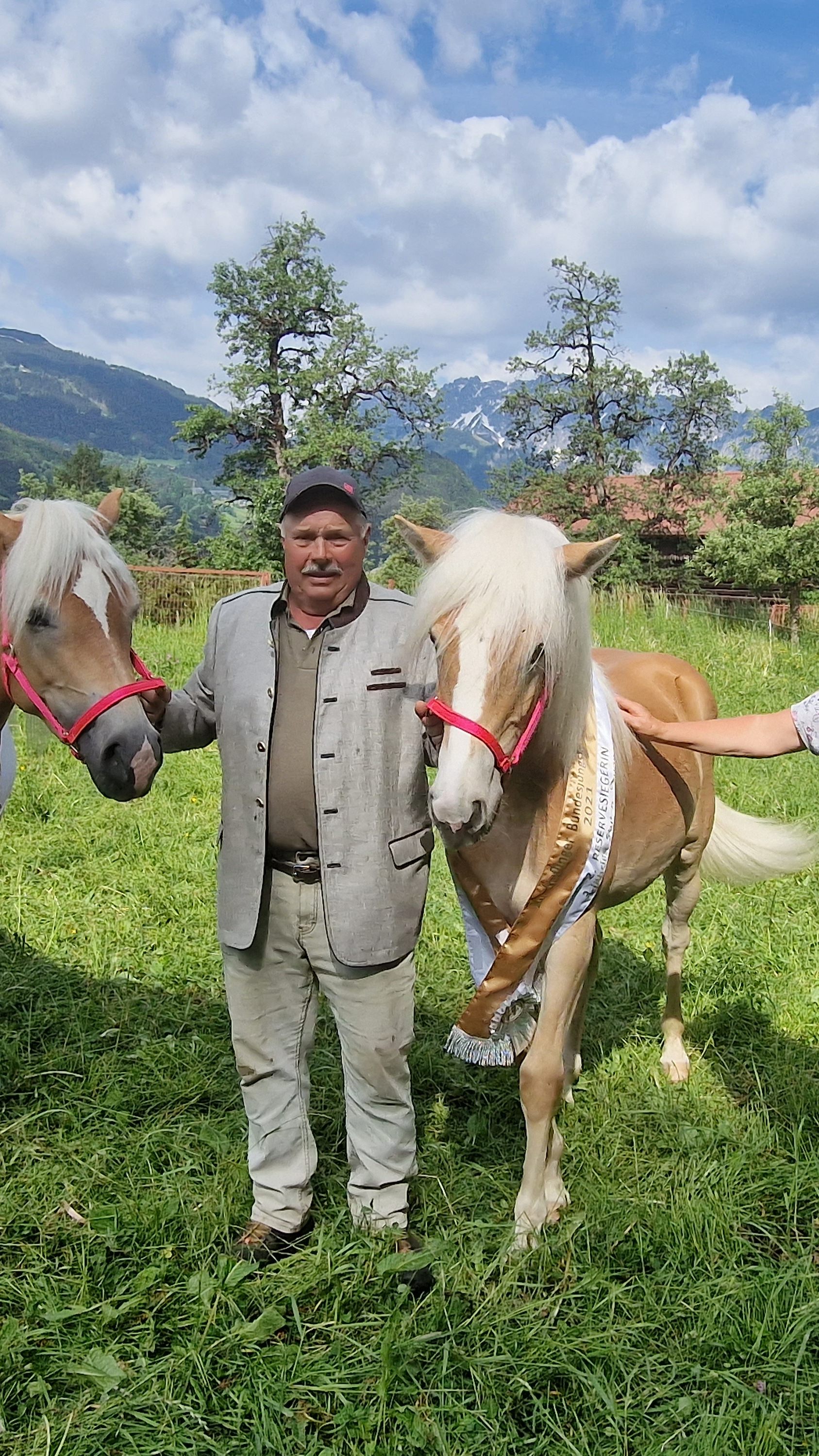 Züchter Alfred Maier mit Miss Silvi und ihrer Prämien Schleife. Auch die Haflingerstute Sorina (hier mit Erika Maier) bekommt eine Schleife.