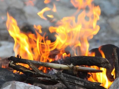 Akute Waldbrandgefahr in Wien: Grillverbot gilt ab sofort.