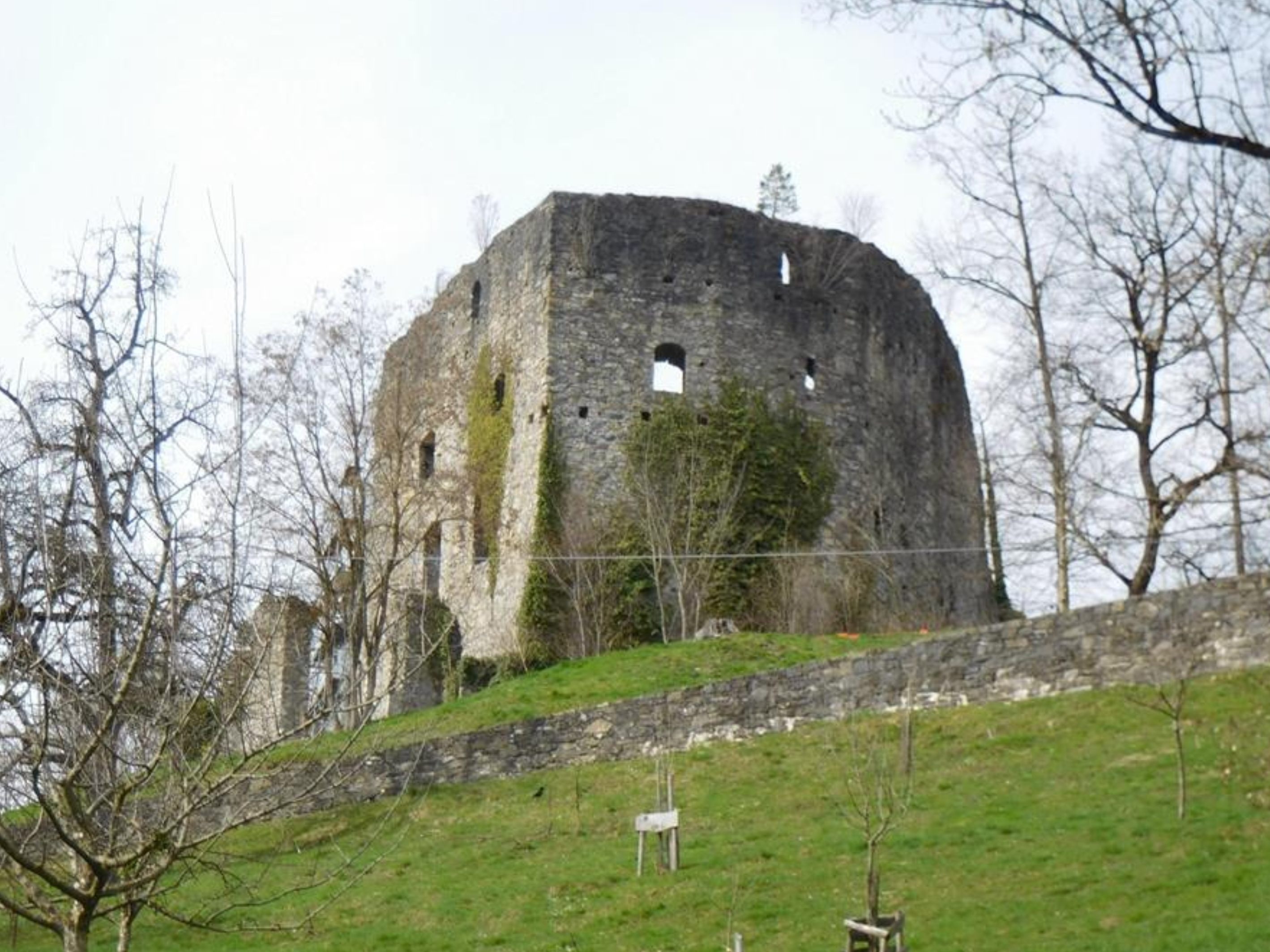 Auch in diesem Jahr finden auf der Ruine Jagdberg umfangreiche Sanierungsarbeiten statt