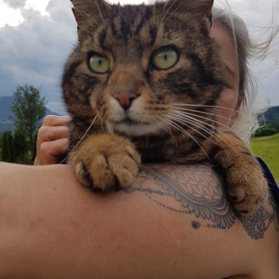 Kater Jimmy ist wieder da.