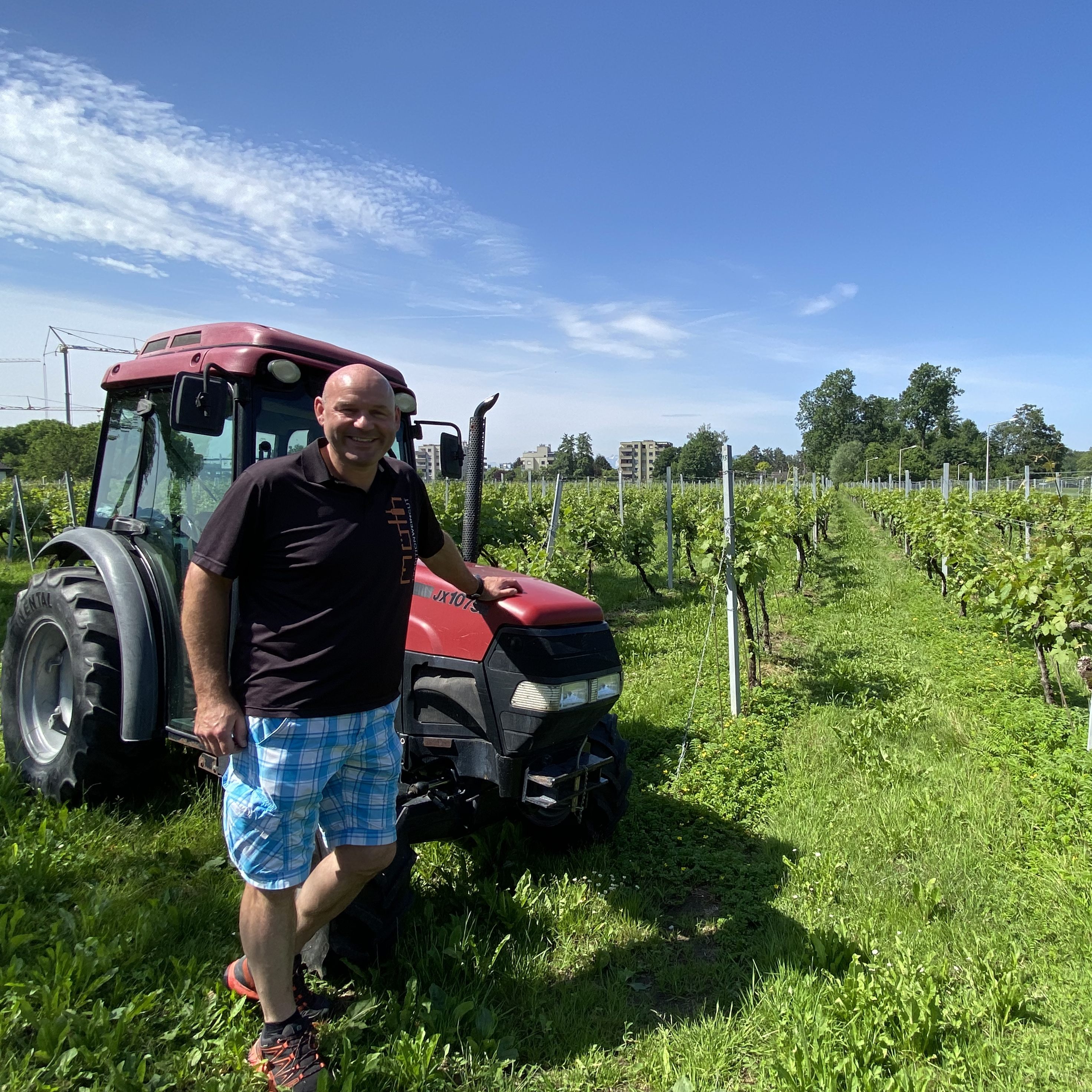 Winzer Sepp Möth baut in Neu Amerika Wein an.