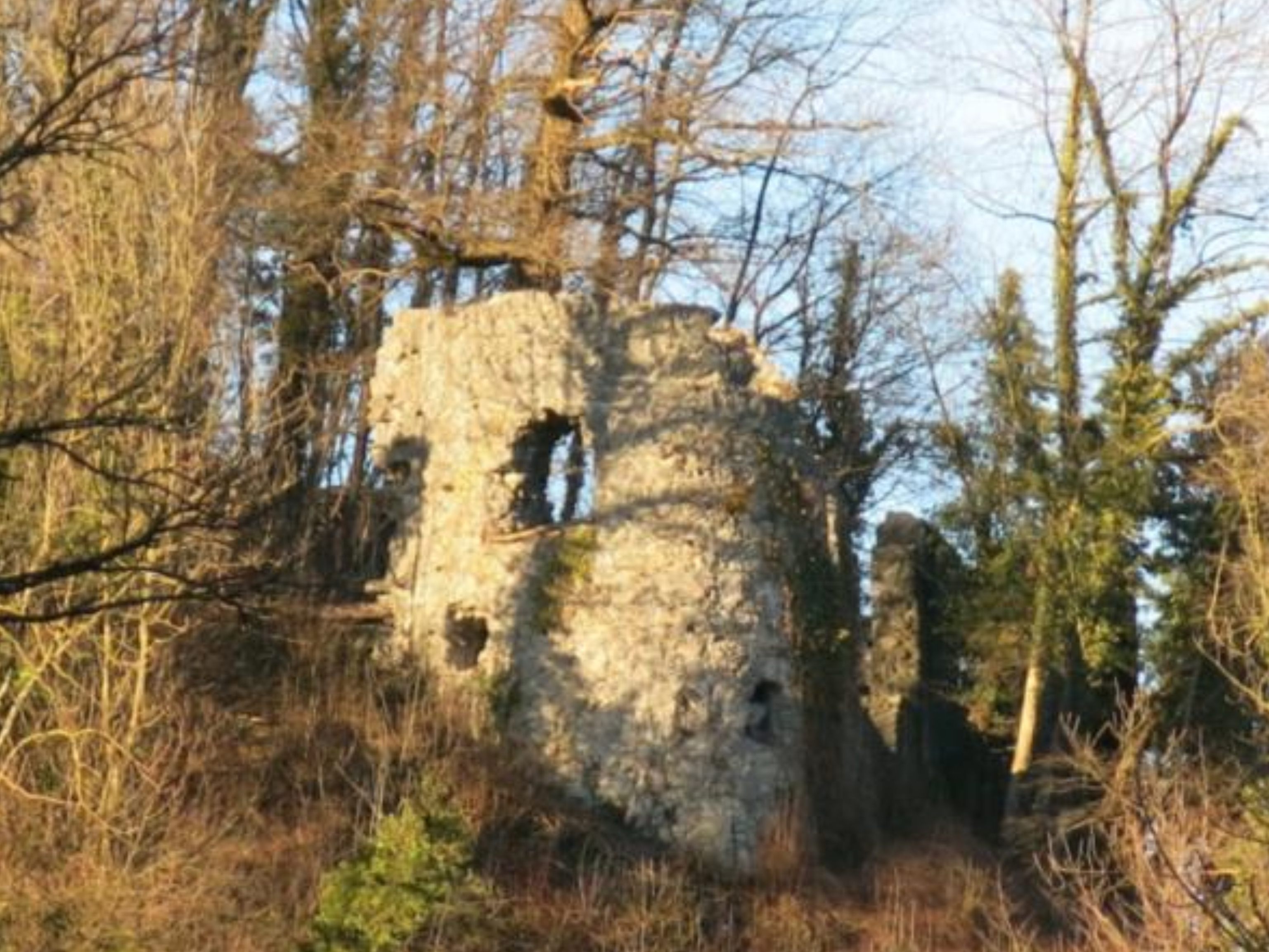 An der Burgruine Neuburg wird ab kommender Woche wieder gearbeitet An der Burgruine Neuburg wird ab kommender Woche wieder gearbeitet