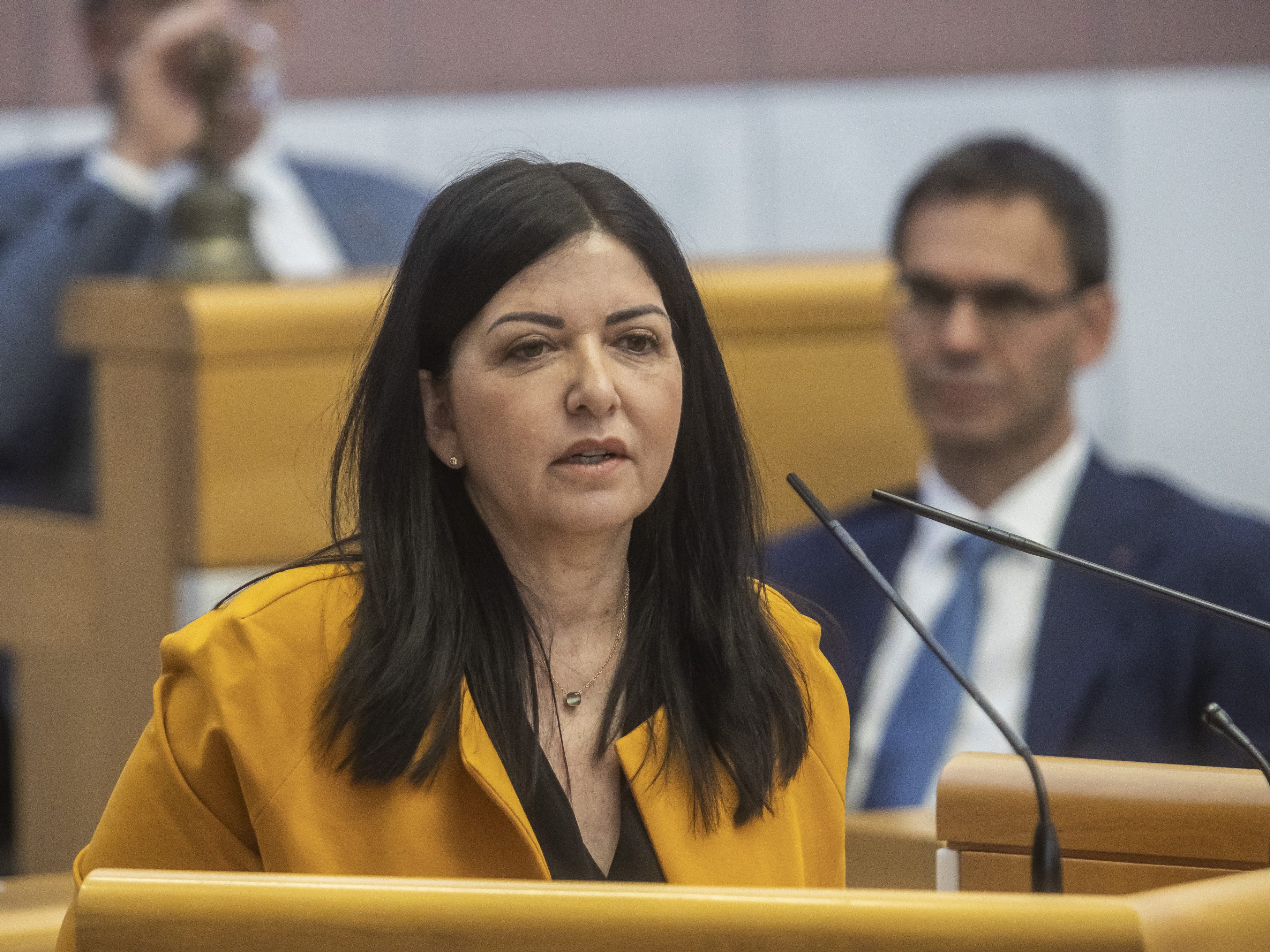 SPÖ, NEOS und SPÖ wollen "echte Aufklärung" und verlangen Nachschärfungen