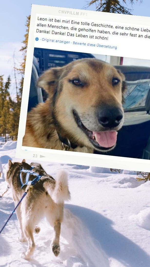 Mehrwöchige Suchaktion mit Flugzeugen war zuvor erfolglos gewesen.