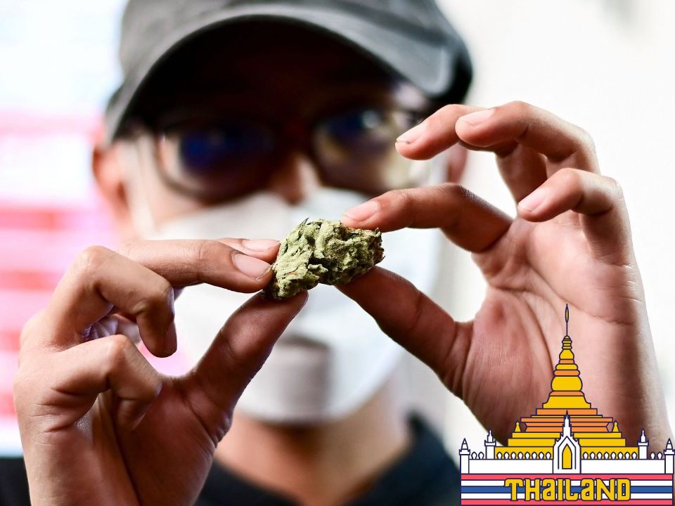 Thailand legalisiert Marihuana.