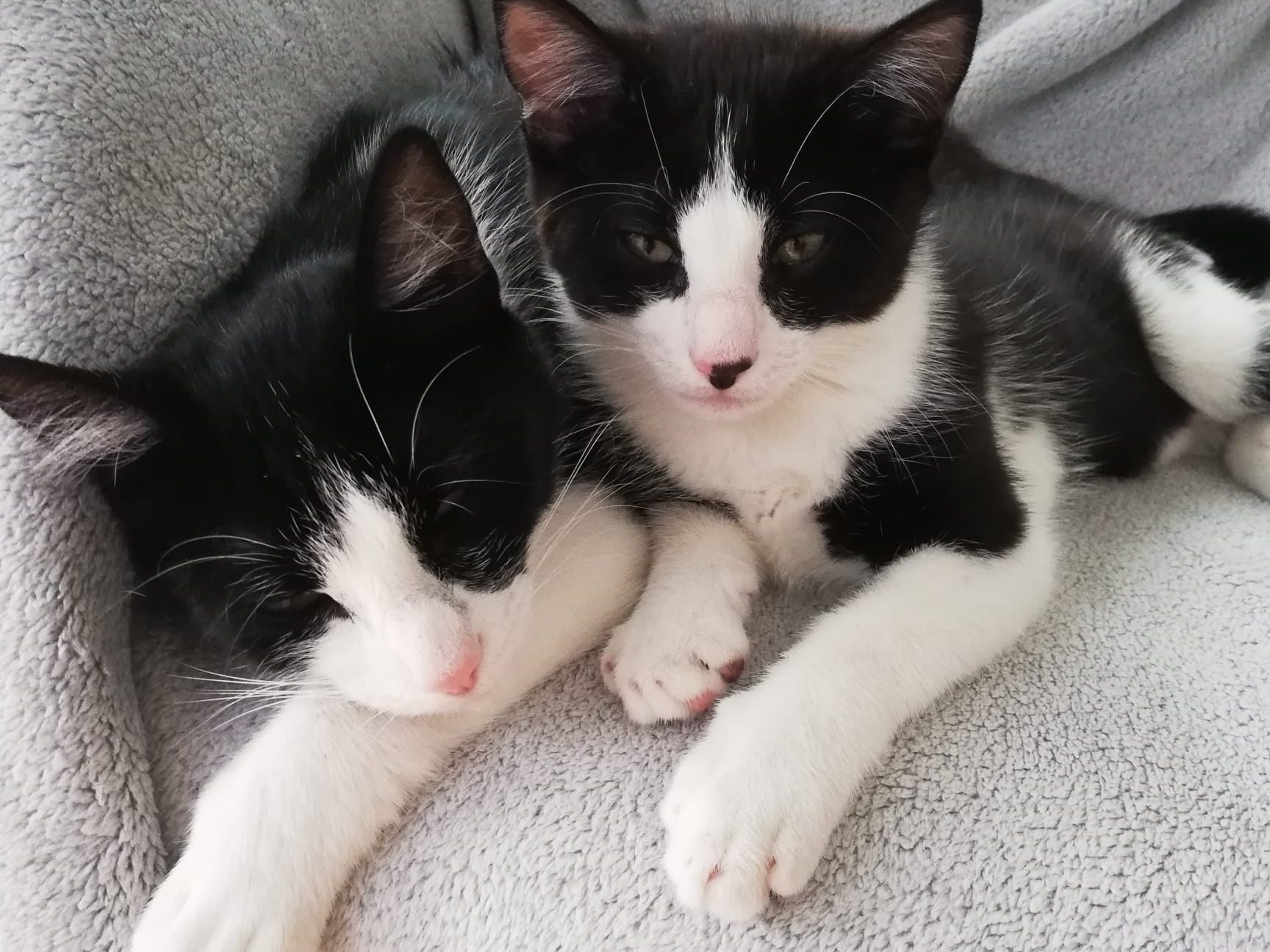 Lotte und ihr Peppi Lotte und ihr Peppi