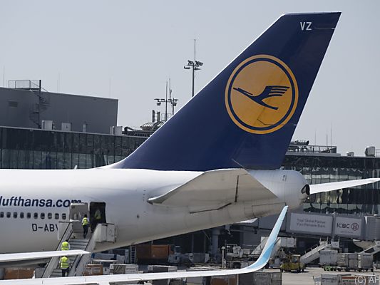 Kranich-Flieger wollen wieder abheben Kranich-Flieger wollen wieder abheben