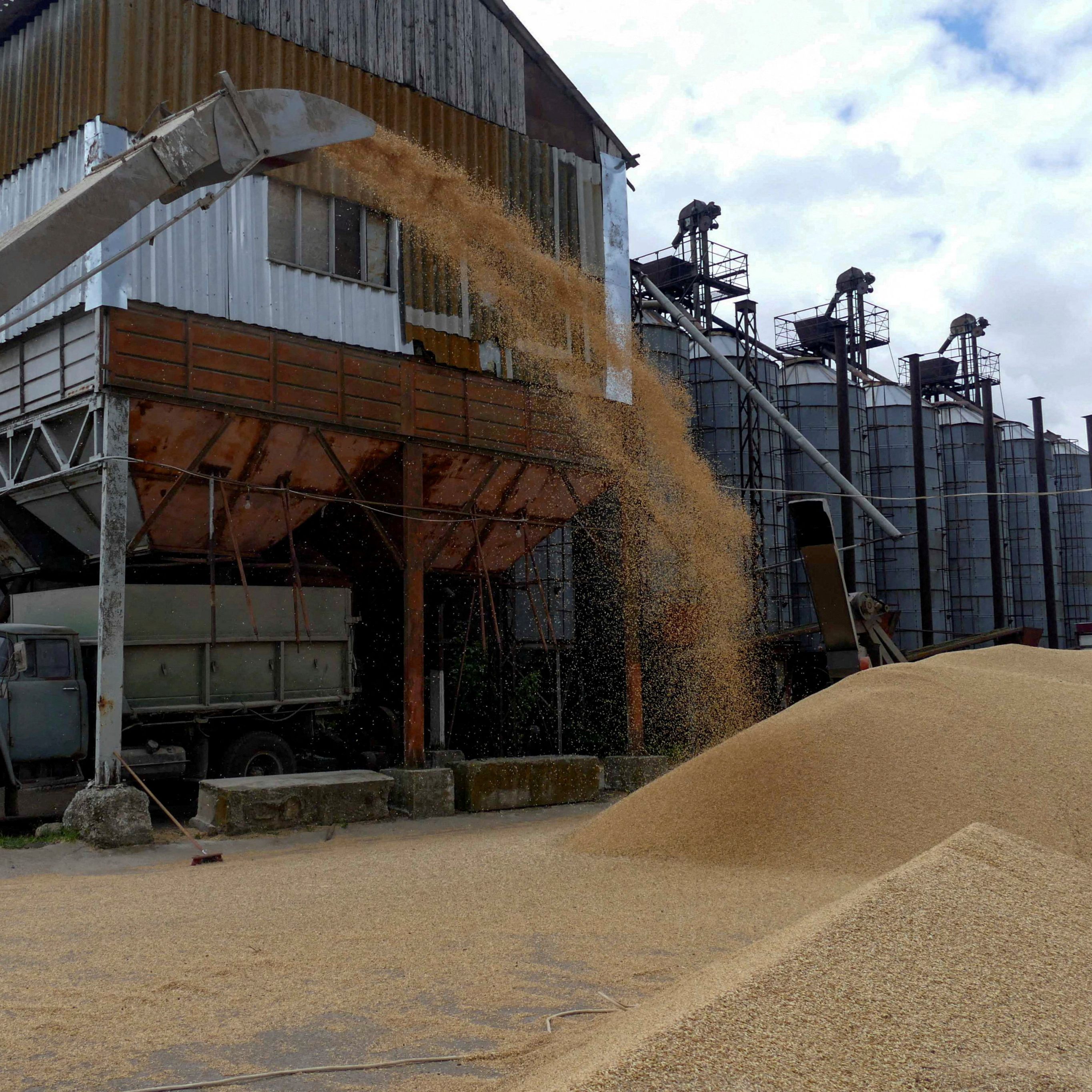 Trotz Getreide-Deals wurde der Hafen von Odessa angegriffen.
