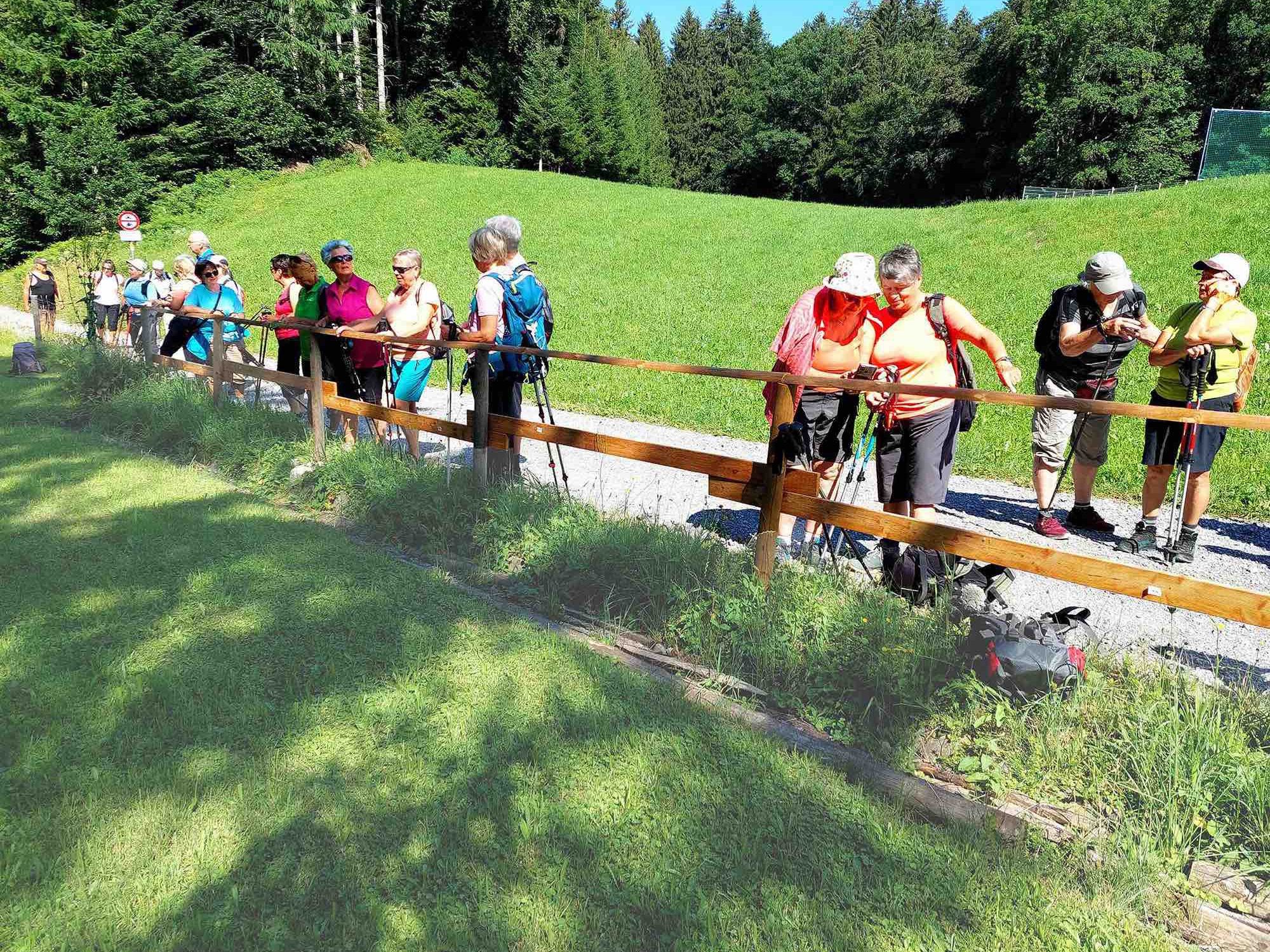 Schöne Wiesen und Wälder