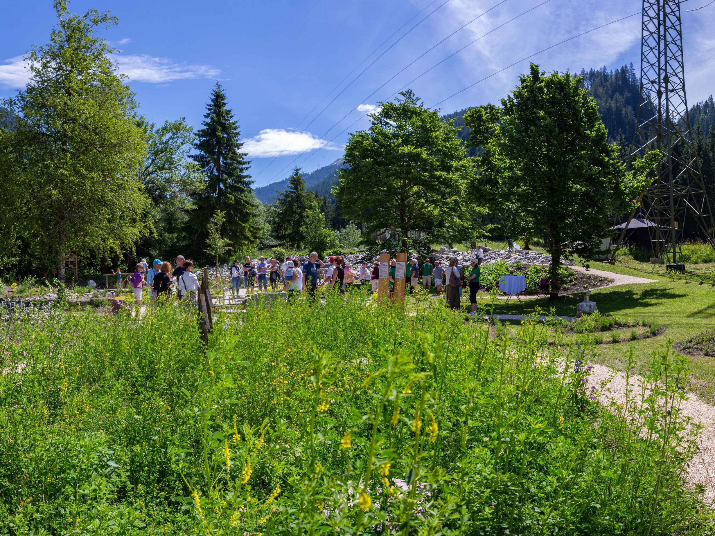 Kneipp & Relax Garten Alfenz