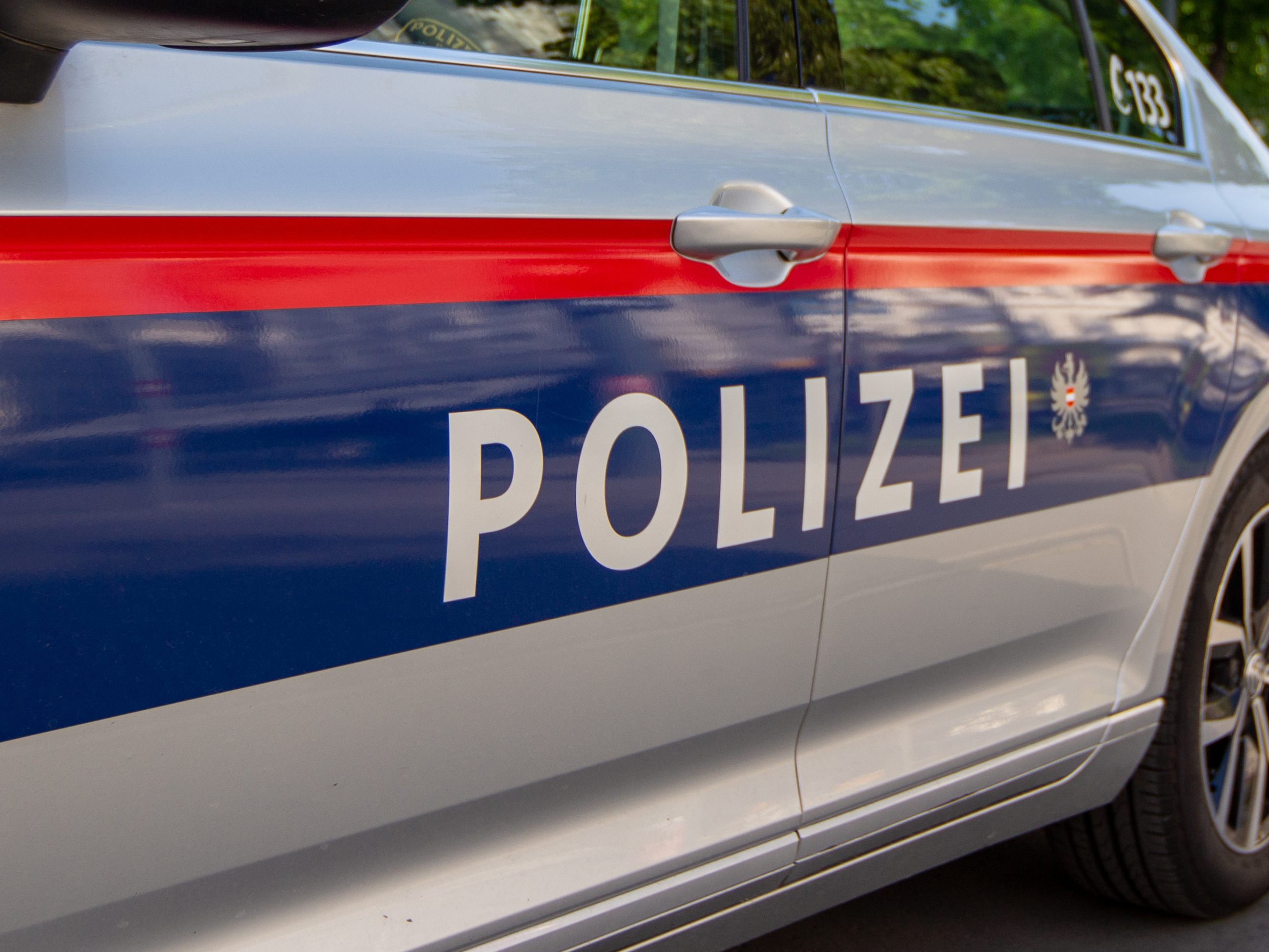 Acht Jugendliche sind wegen einer Raubserie in Wien festgenommen worden.