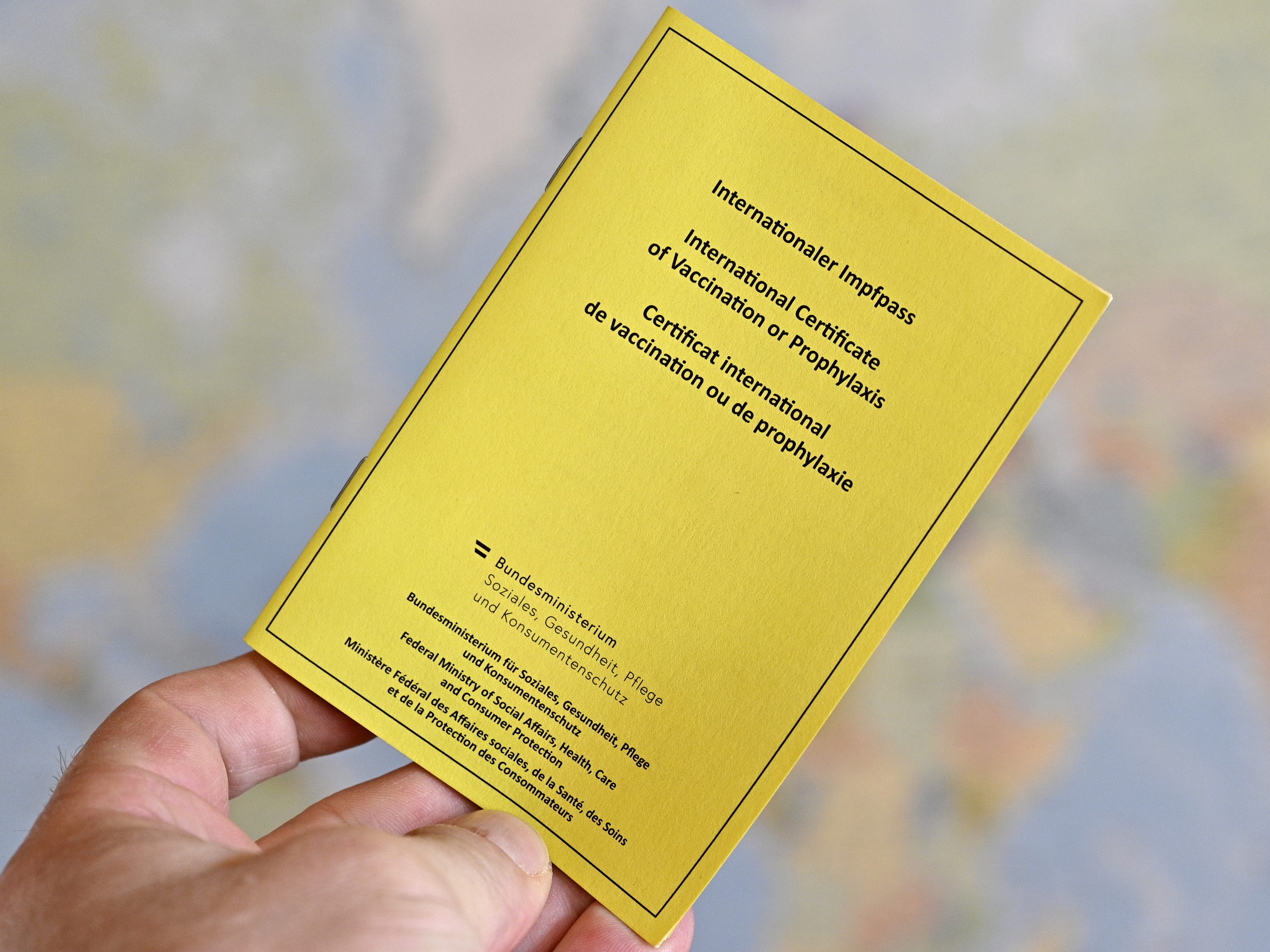Eine Impfpass- und Covid-Test-Fälschergruppe ist in Oberösterreich ausgehoben worden. Eine Impfpass- und Covid-Test-Fälschergruppe ist in Oberösterreich ausgehoben worden.