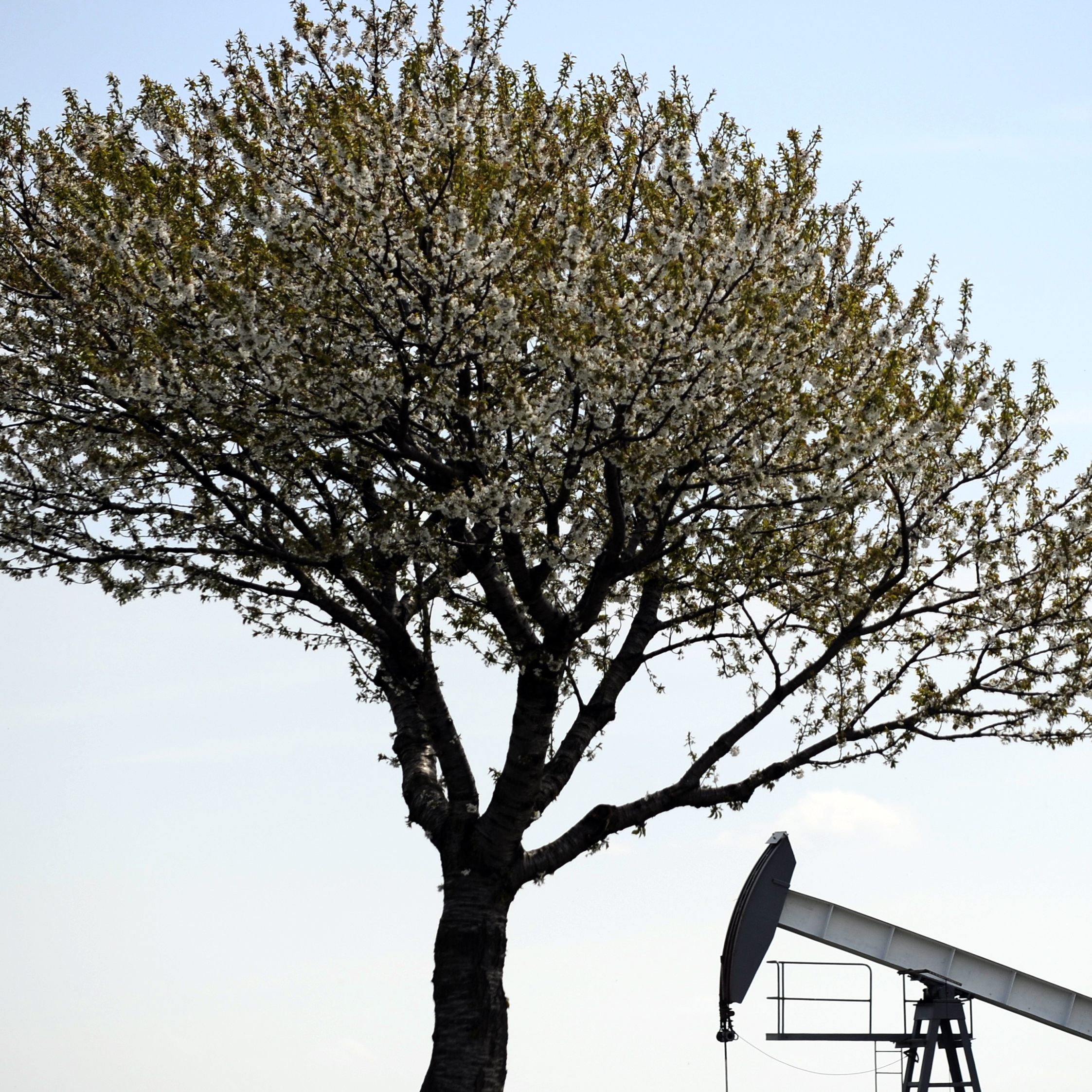 Österreich benötigt aufgrund des Öl-Stopps andere Lieferwege.