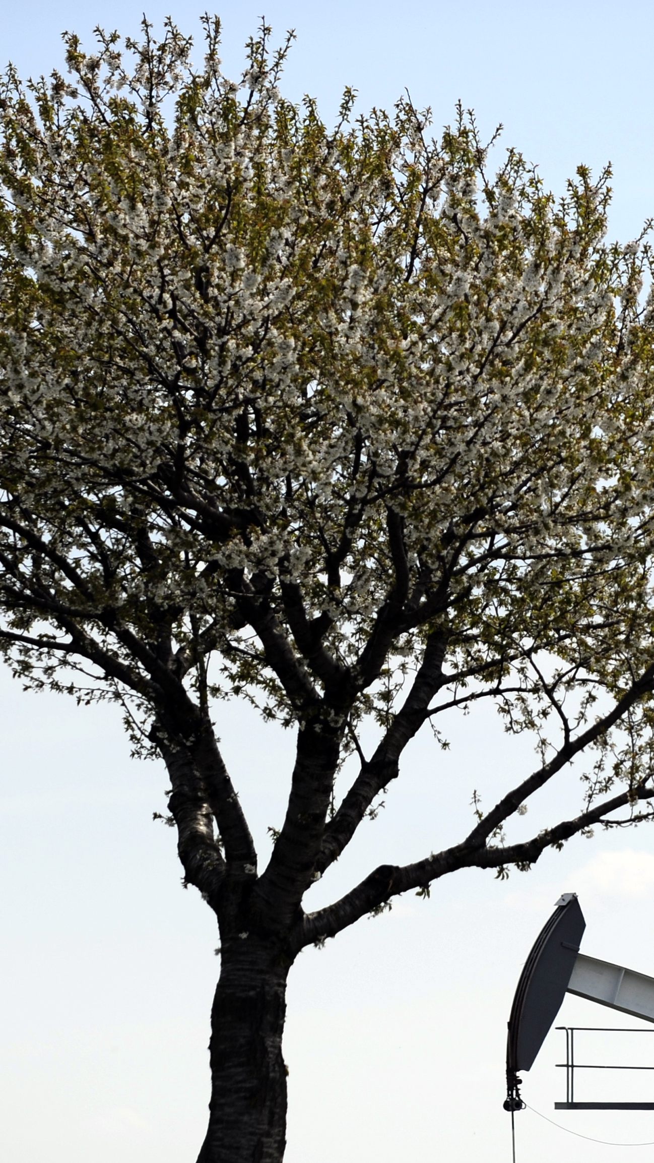 Österreich benötigt aufgrund des Öl-Stopps andere Lieferwege.