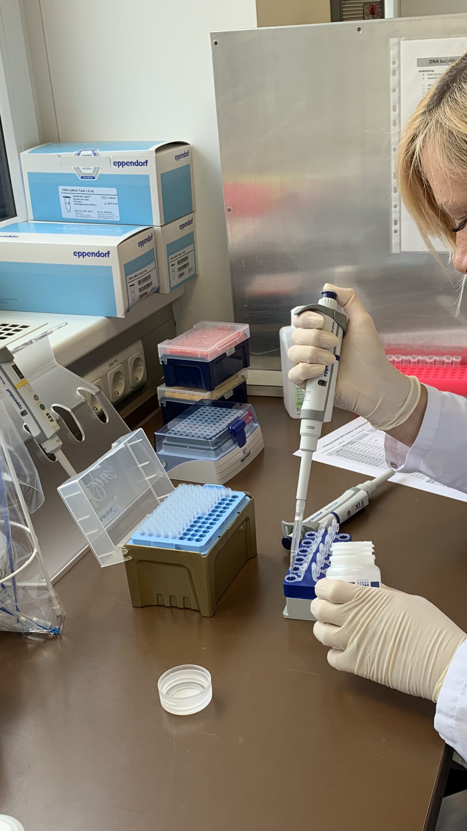 2021 beanstandete AGES etwas mehr Lebensmittelproben.