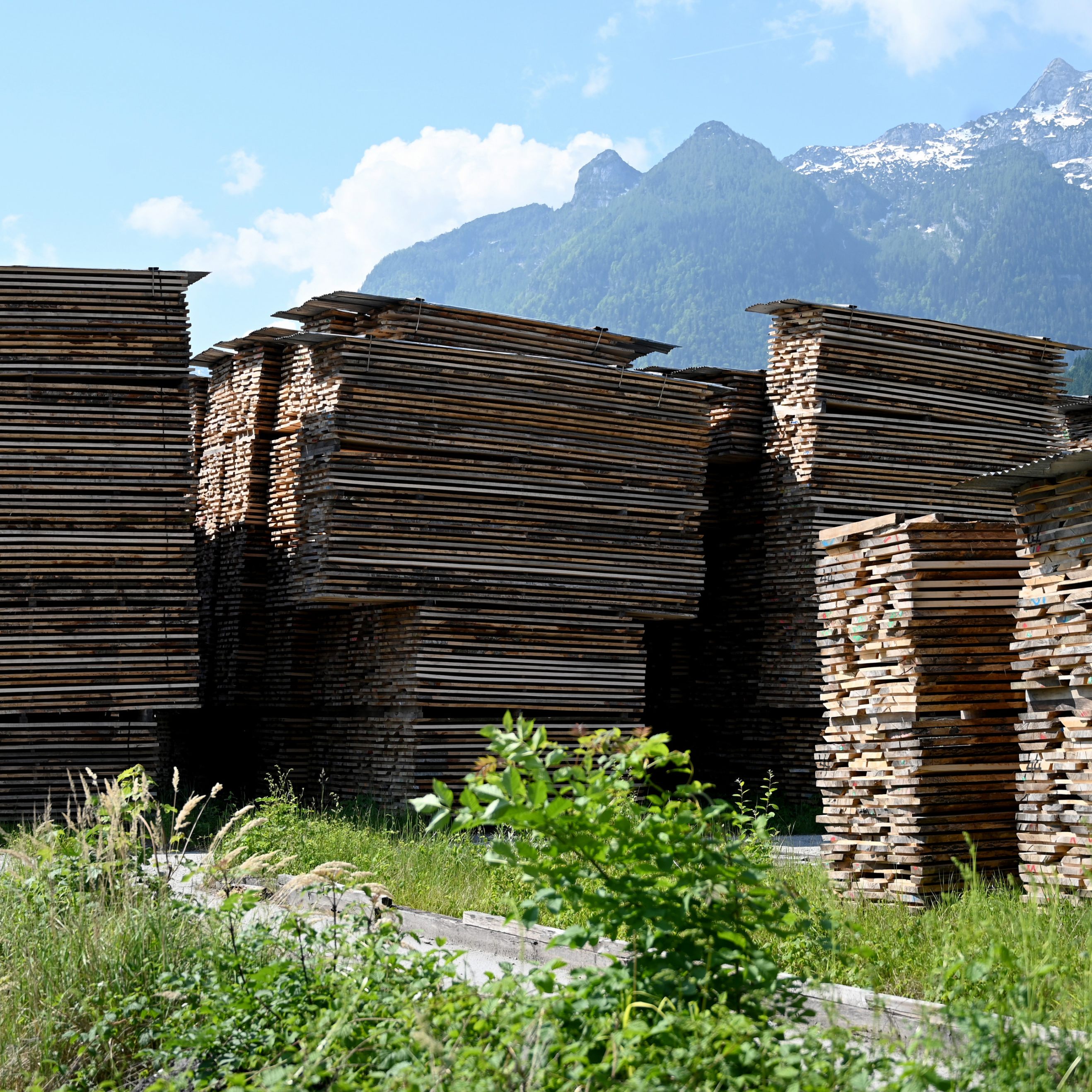 2021 legte die Österreichische Forstwirtschaft deutlich zu.