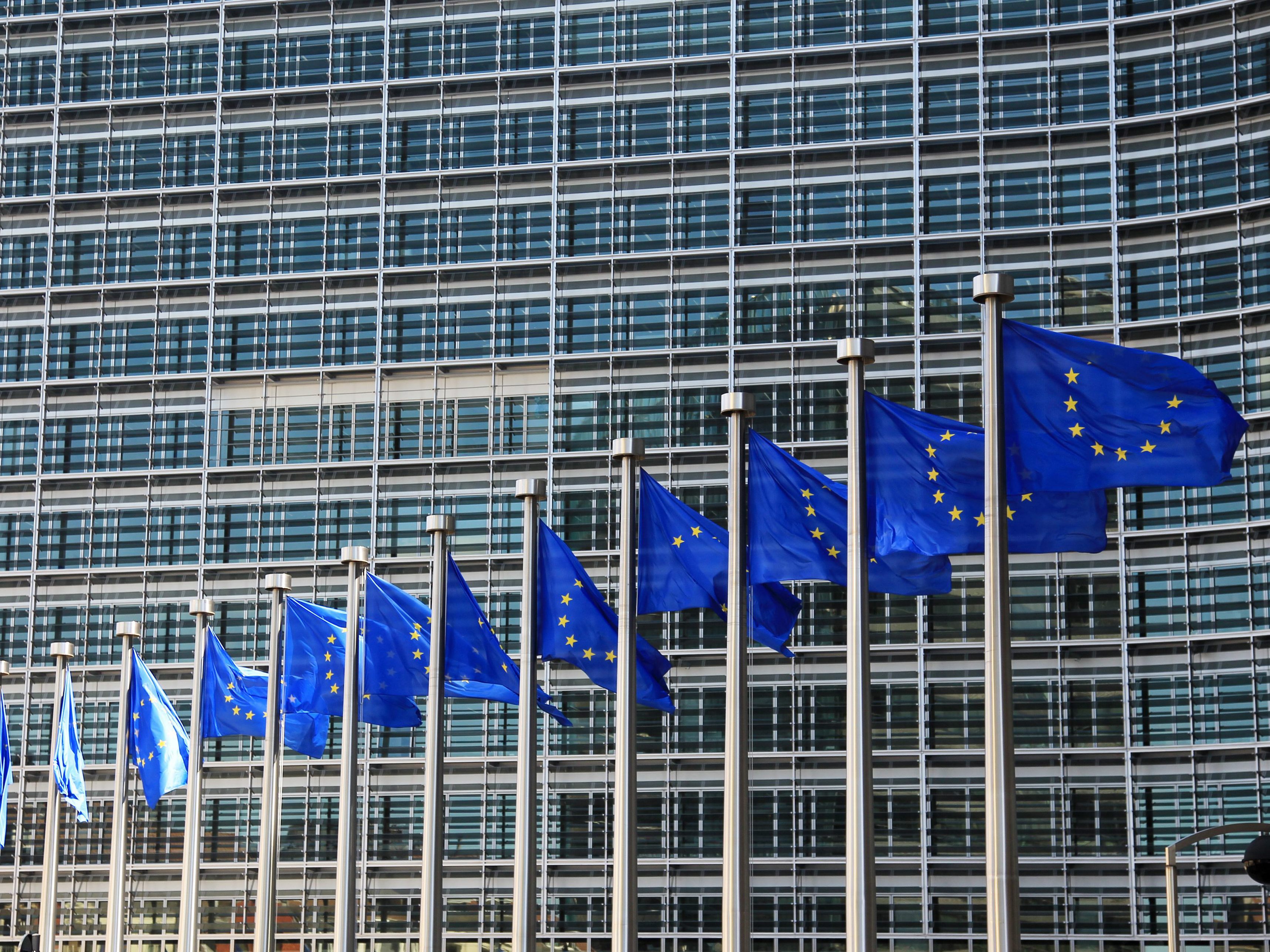 Das EU-Parlament will Abtreibung zum Grundrecht machen. Das EU-Parlament will Abtreibung zum Grundrecht machen.