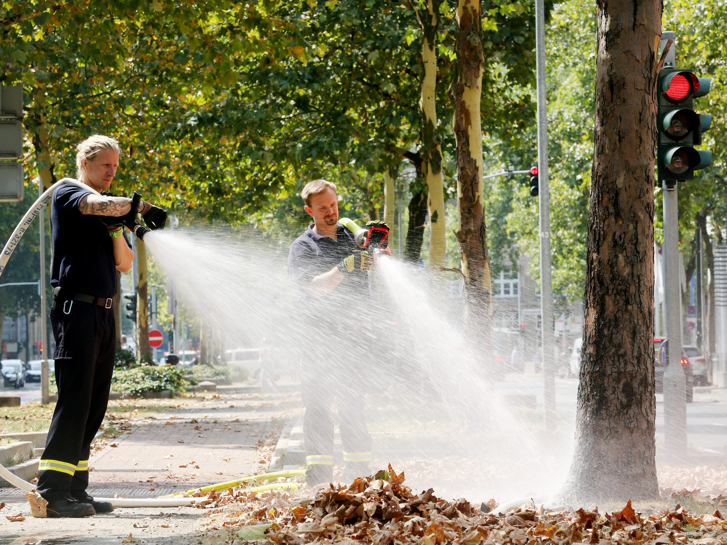 Bei herkömmlicher Bewässerung von Bäumen würden, laut Wiener Entwickler, 70 Prozent des Wassers einfach verdunsten.
