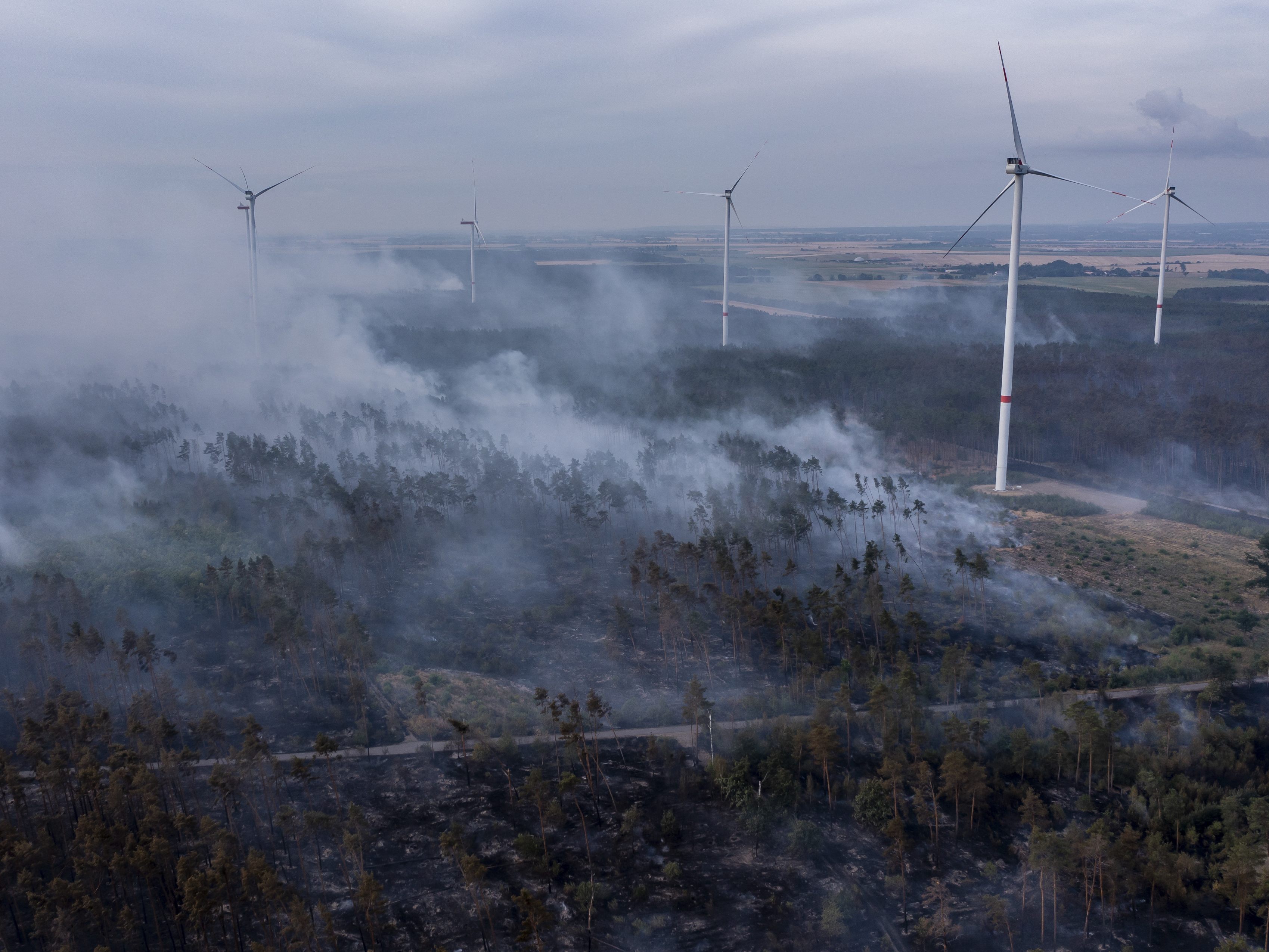 Auch in den deutschen Bundesländern Brandenburg und Sachsen stehen Wälder in Flammen. Auch in den deutschen Bundesländern Brandenburg und Sachsen stehen Wälder in Flammen.