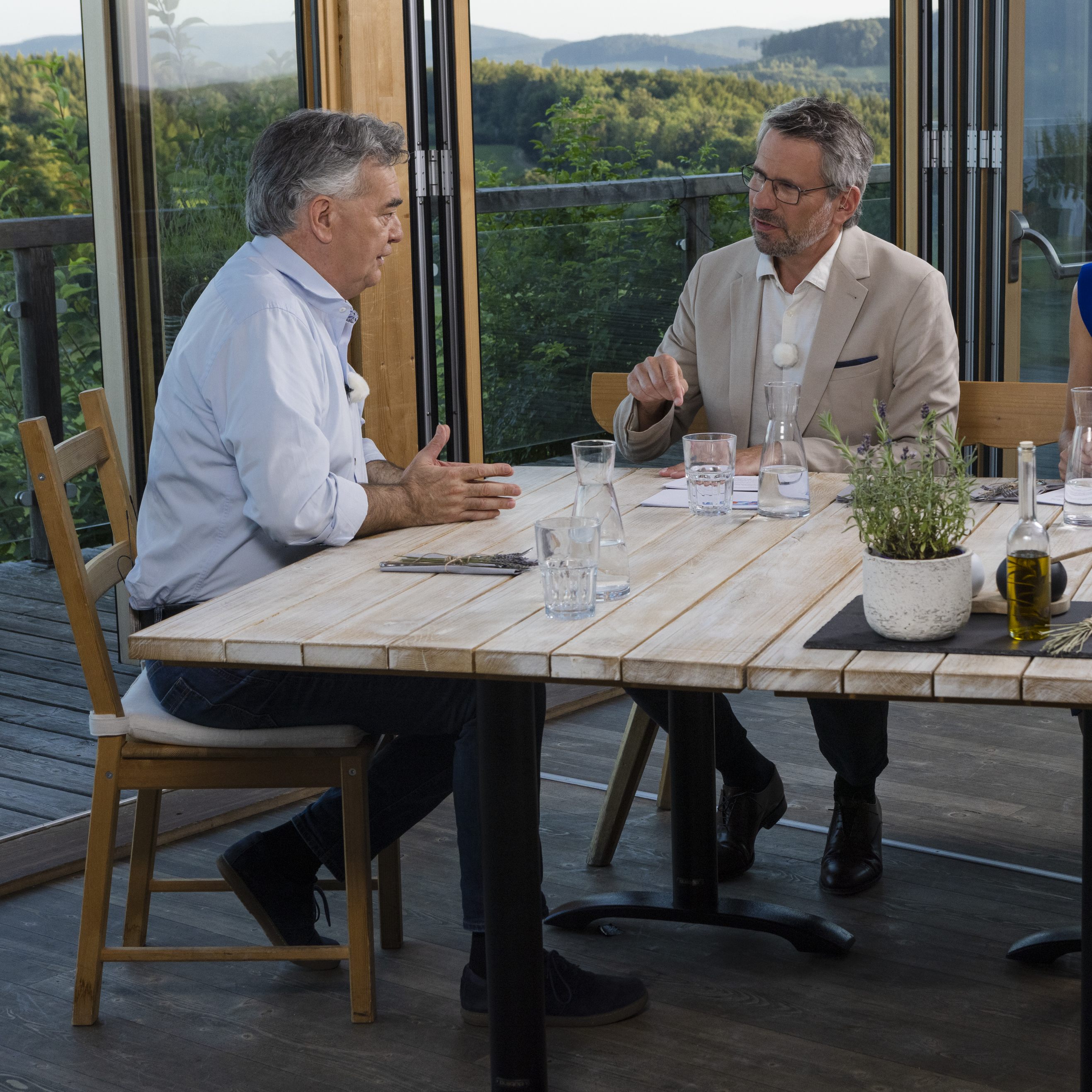 Grünen-Chef Werner Kogler hält an der Einführung der CO2-Bepreisung im Oktober fest.