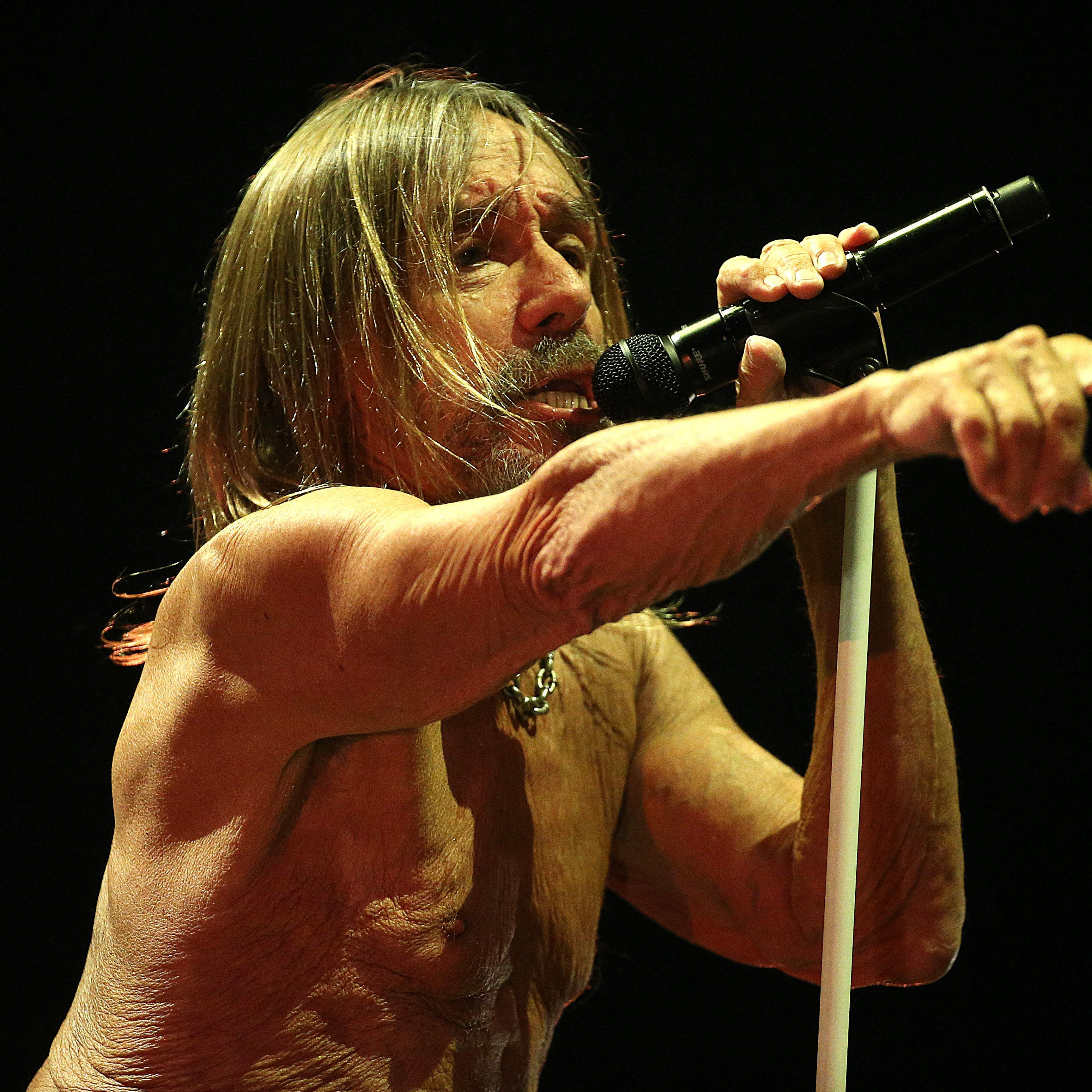 Konzert von Iggy Pop im Wiener Konzerthaus verschoben.