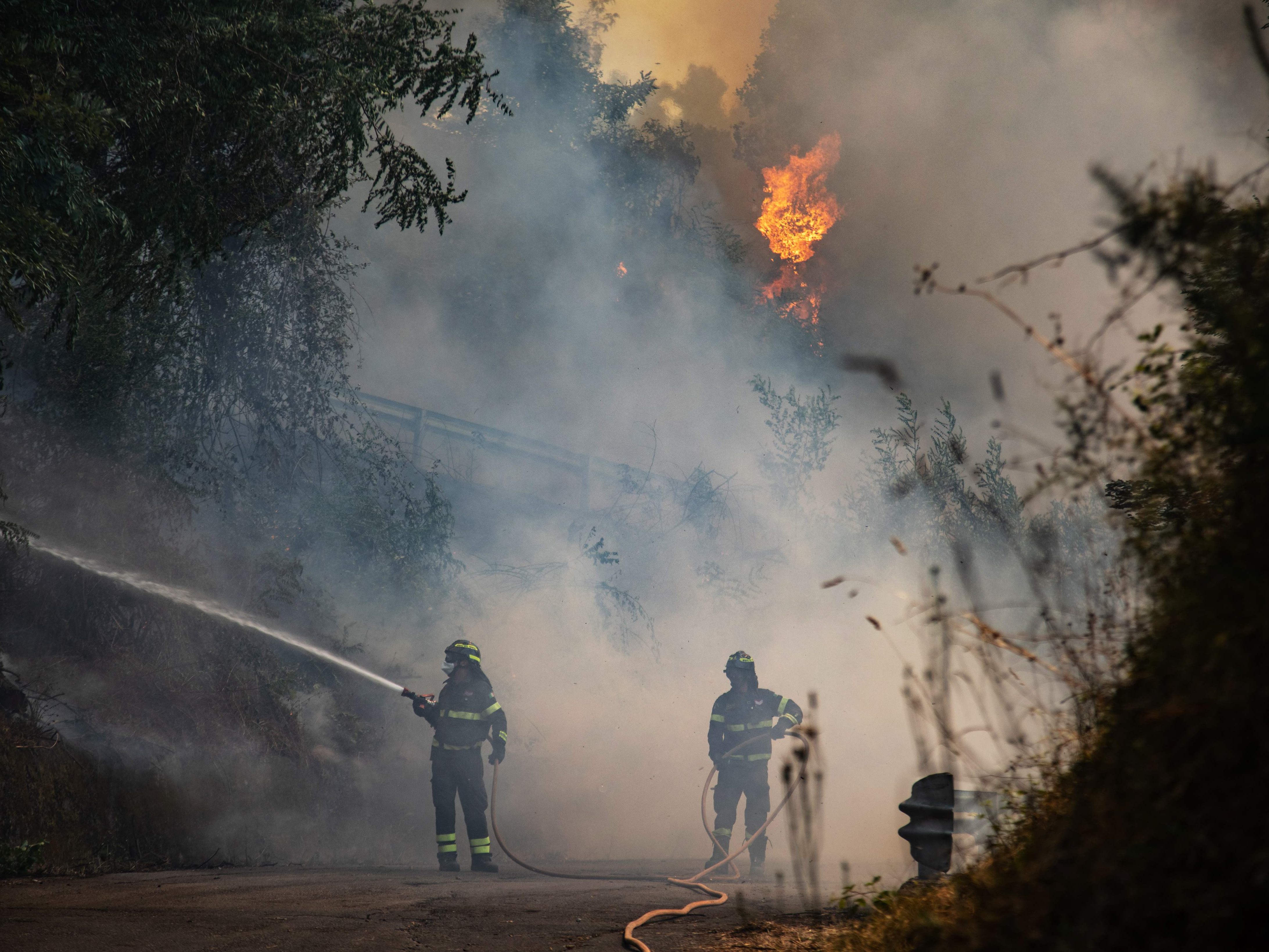 In Italien kämpfen die Feuerwehren derzeit gegen mehrere Waldbrände an.