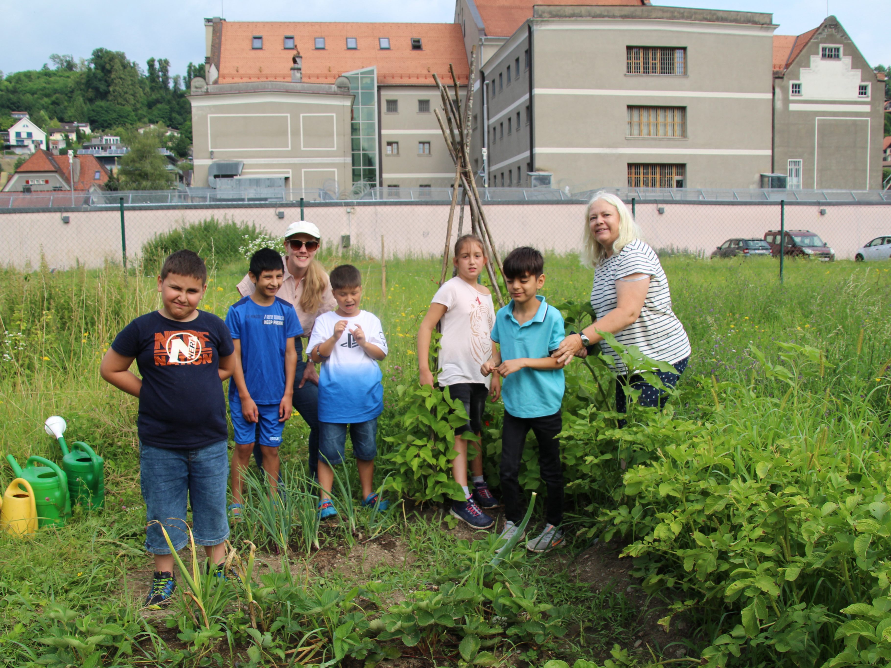Schülerinnen und Schüler des PFZ Feldkirch ernten im Stadtgarten Feldkirch frisches Gemüse.