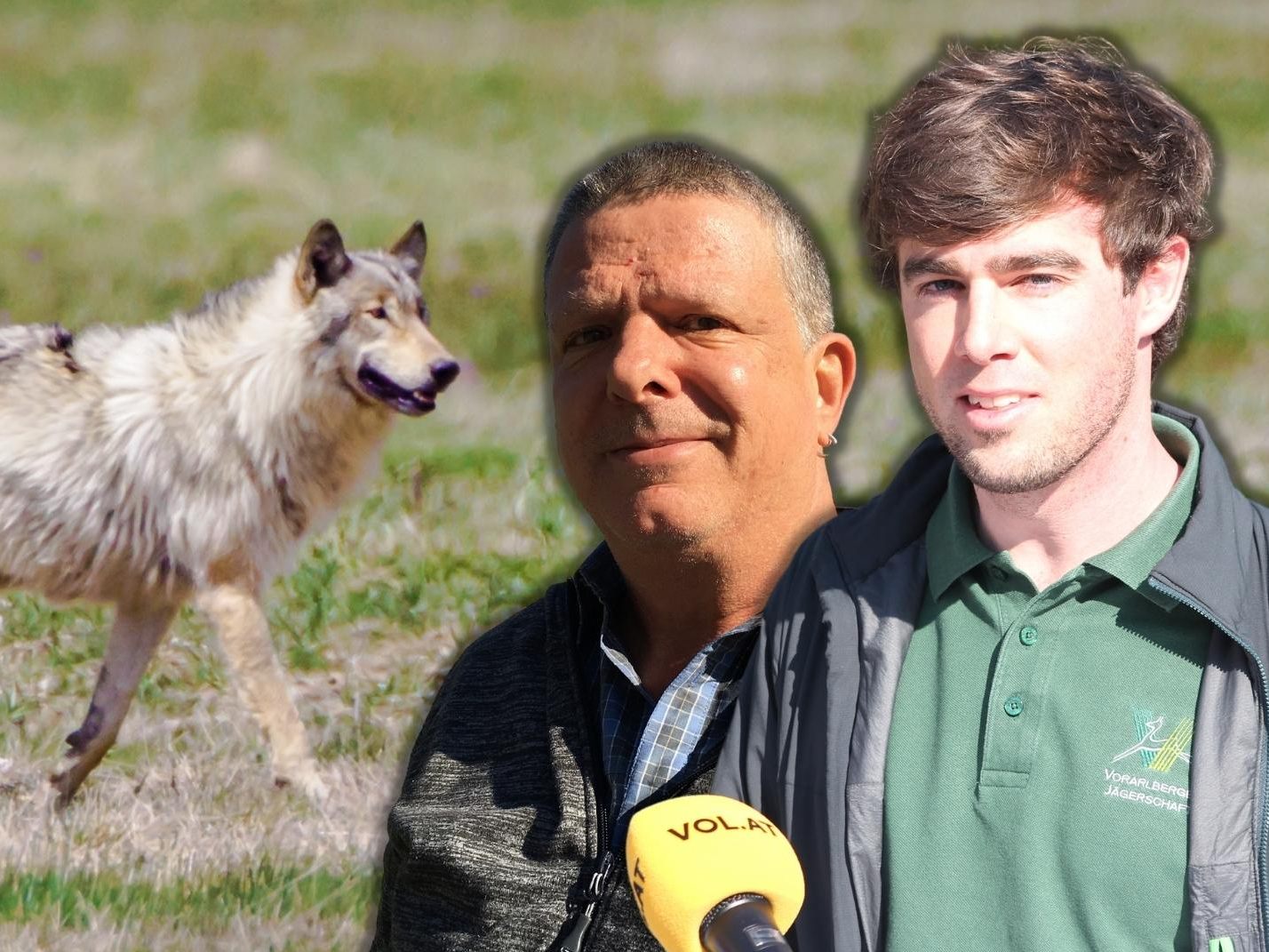 Klaus Zimmermann (inatura) und Gernot Heigl (GF Jägerschaft Vorarlberg) über die "Wolfsichtung".