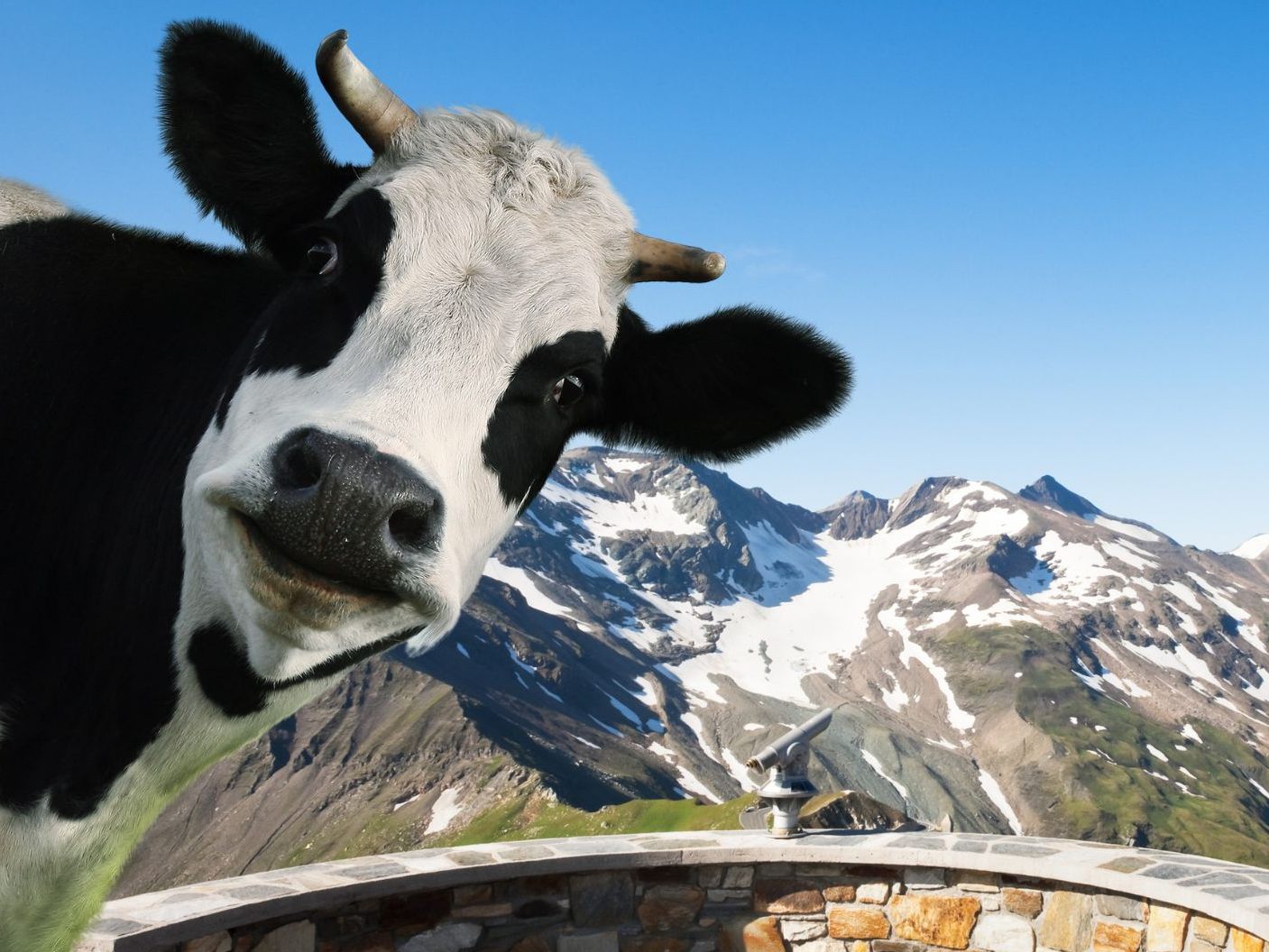 Unfreundlichkeit der Österreicher kostet Plätze in Expats-Ranking.